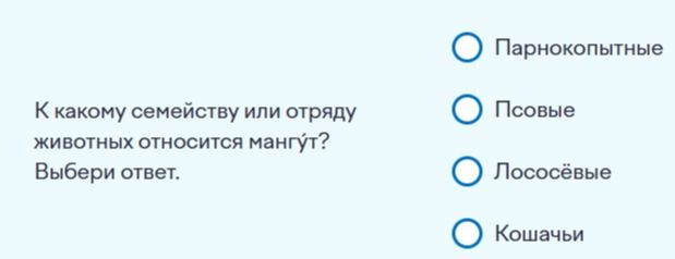 Фото задания: К какому семейству или отряду животных относится мангуст? Выбери ответ. Варианты: Парнокопытные; Псовые; Лососёвые; Кошачьи.