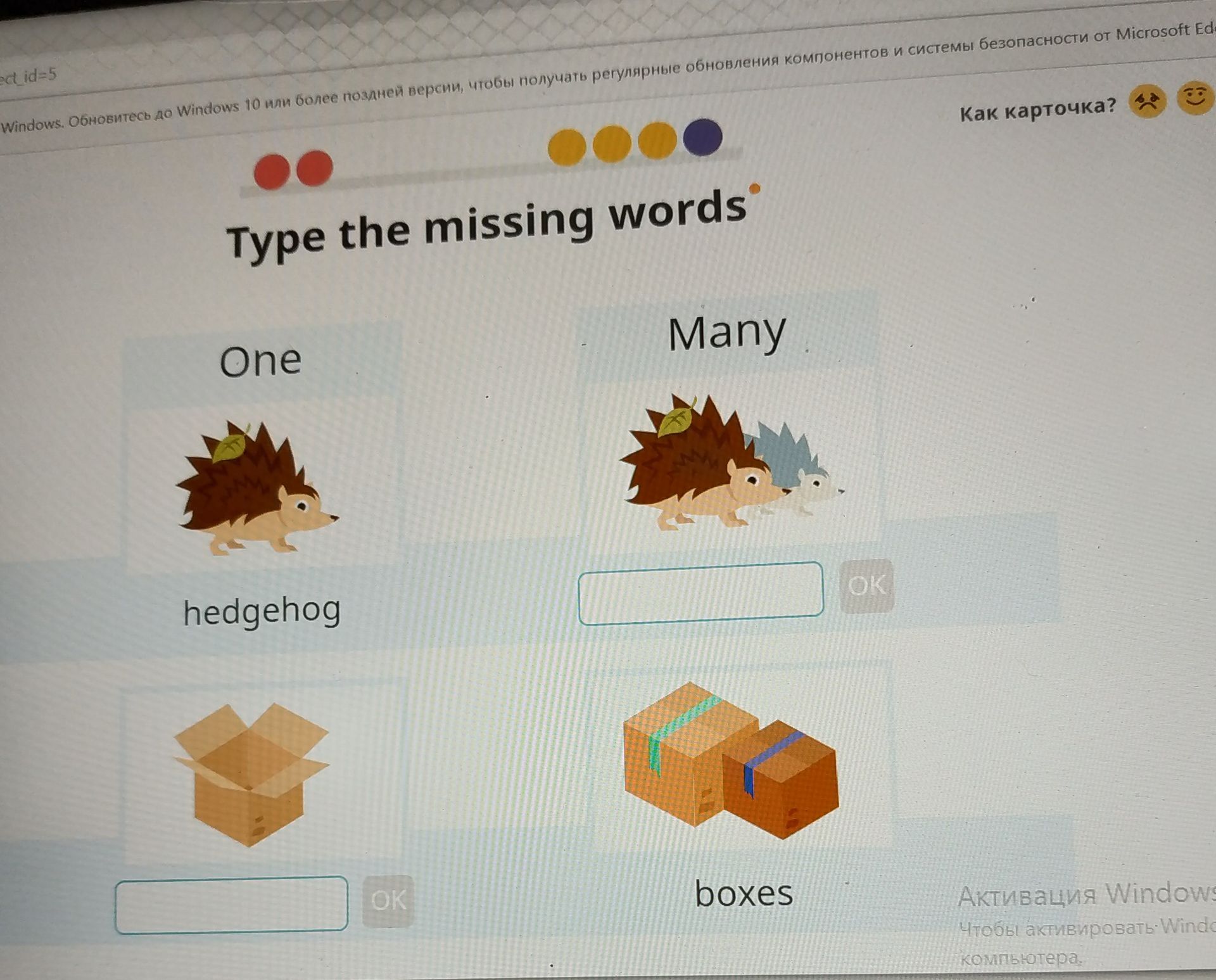 Фото задания: Type the missing words. One: hedgehog. Many: [two hedgehogs]. One: [open box]. Many: boxes.