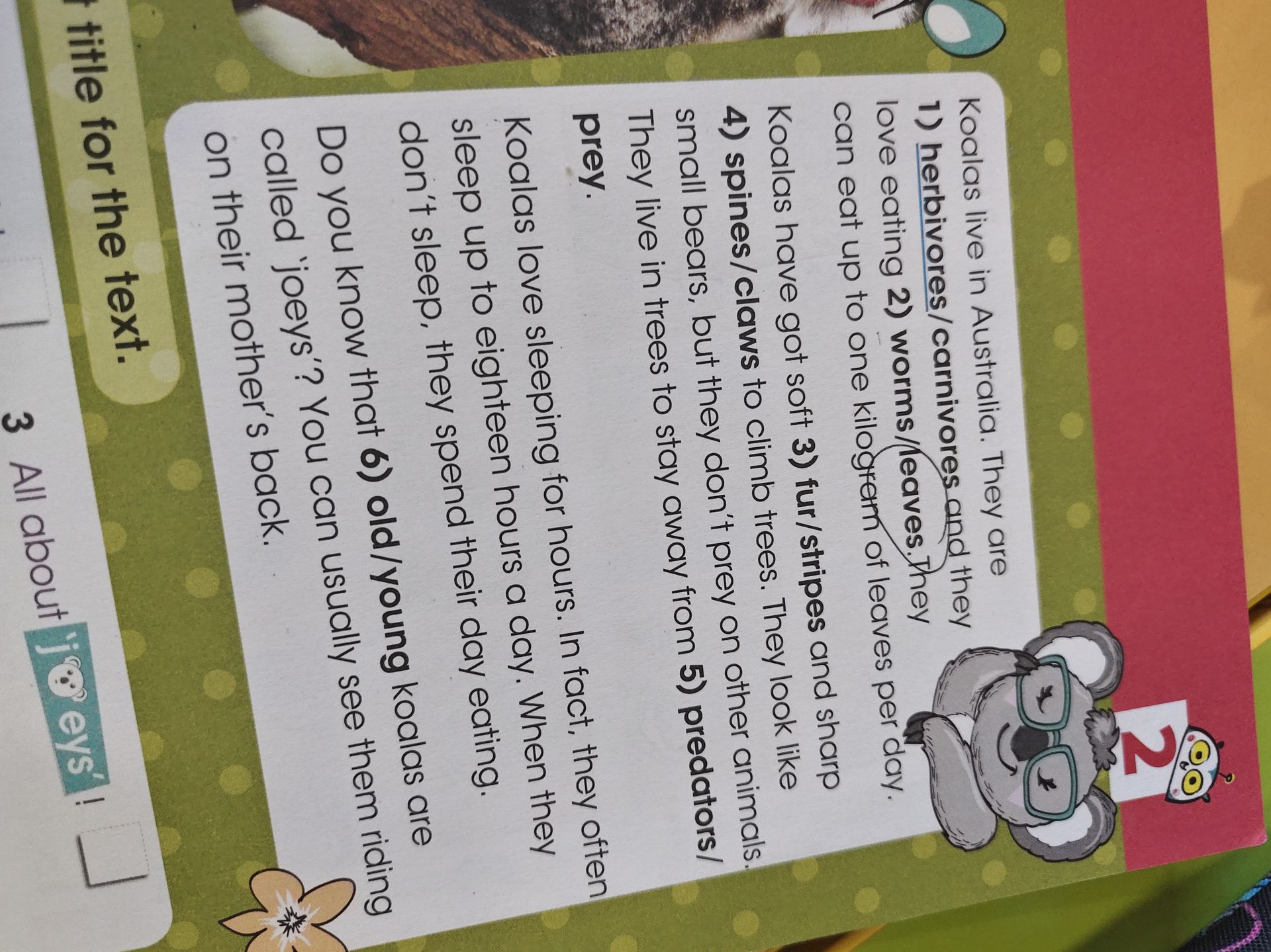 Фото задания: Choose the correct words. Koalas live in Australia. They are 1) herbivores/carnivores and they love eating 2) worms/leaves.…