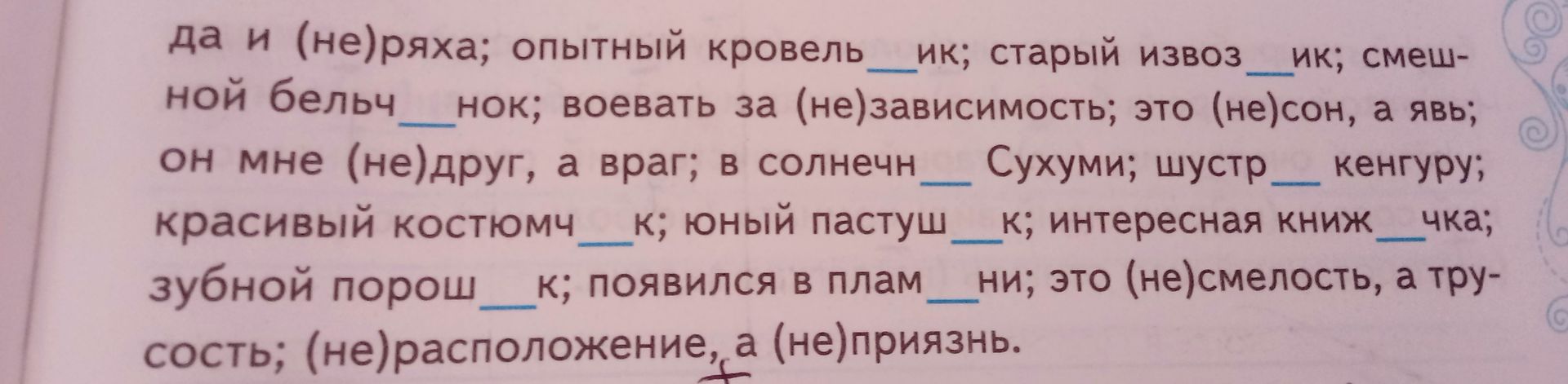 Фото задания: Да и (не)ряха; опытный кровель__ик; старый извоз__ик; смешной бельч__нок; воевать за (не)зависимость; это (не)сон, а явь;…