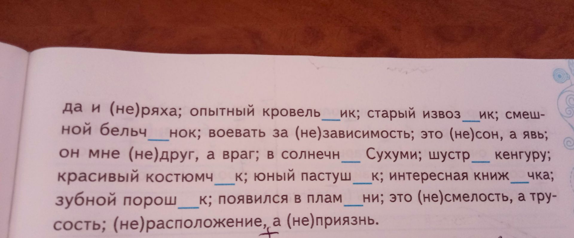 Фото задания: Вставьте пропущенные буквы, раскройте скобки: да и (не)ряха; опытный кровель__ик; старый извоз__ик; смешной бельч__нок;…