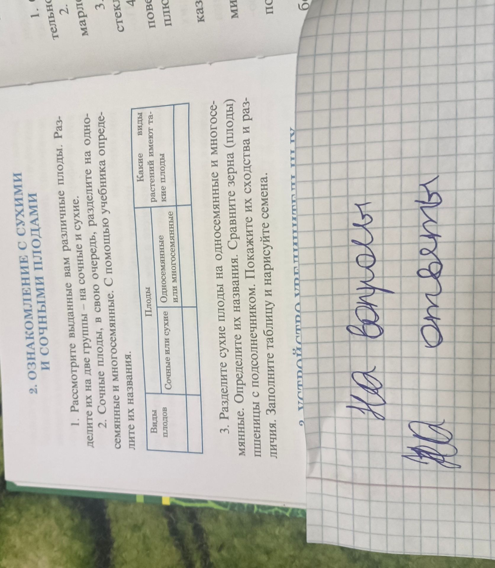 Фото задания: 1. Рассмотрите выданные вам различные плоды. Разделите их на две группы: на сочные и сухие.