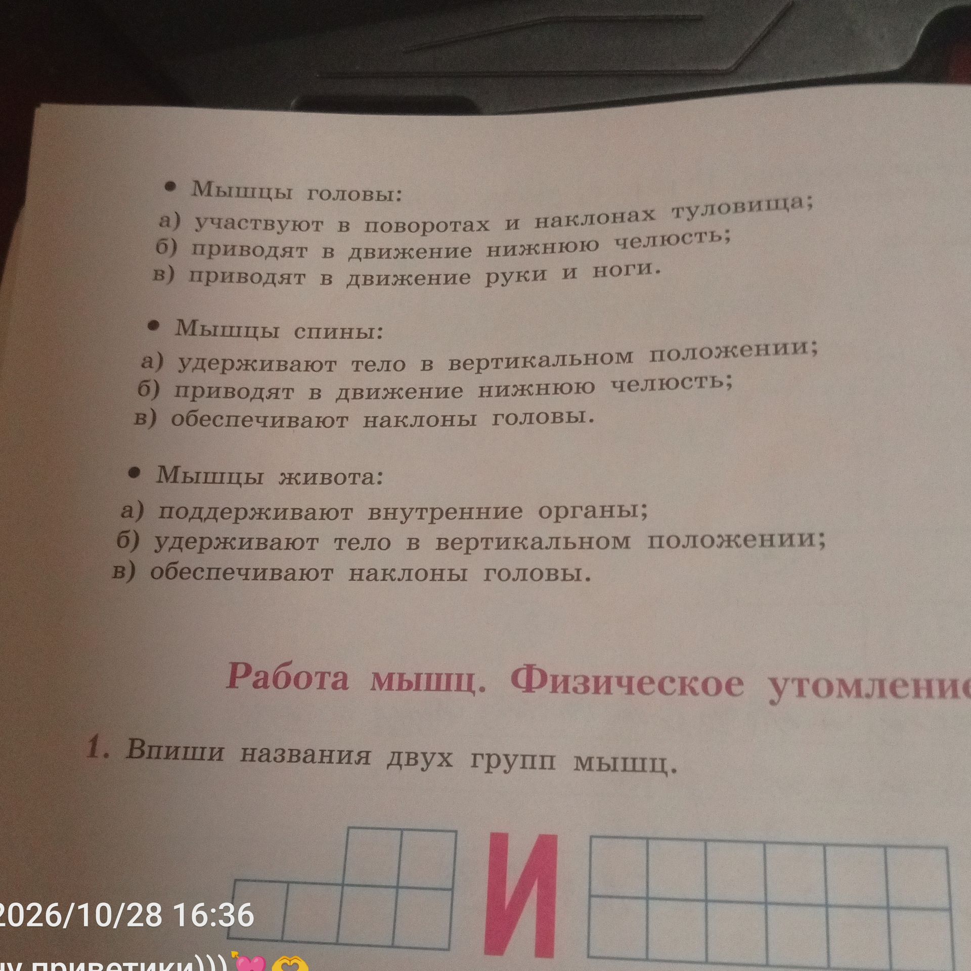 Фото задания: 1. Впиши названия двух групп мышц.