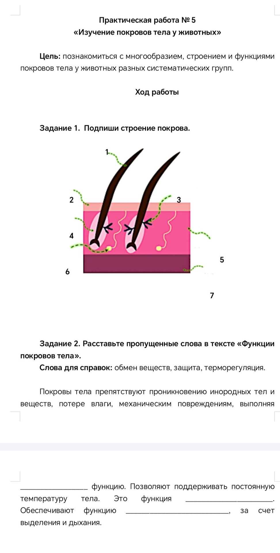 Фото задания: Задание 1. Подпиши строение покрова (обозначения 1–7 на рисунке).