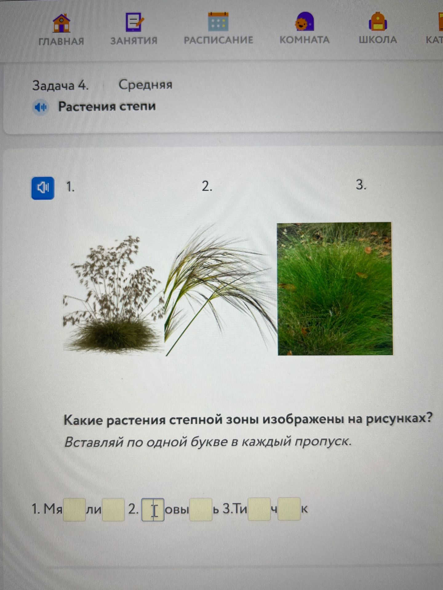 Фото задания: Задача 4. Растения степи. Какие растения степной зоны изображены на рисунках? Вставляй по одной букве в каждый пропуск. 1.…