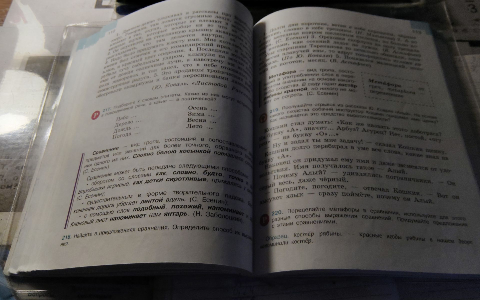 Фото задания: 217. Подберите к словам эпитеты. Какие из них могут быть употреблены в разговорной речи, а какие — в поэтической? Небо,…