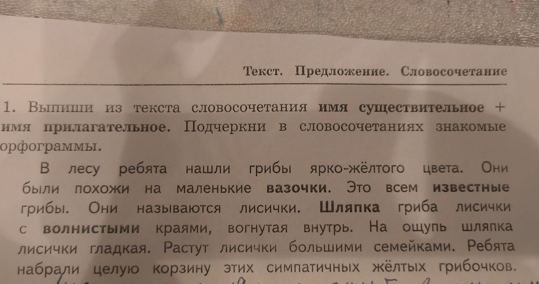 Фото задания: Выпиши из текста словосочетания имя существительное + имя прилагательное. Подчеркни в словосочетаниях знакомые орфограммы.…