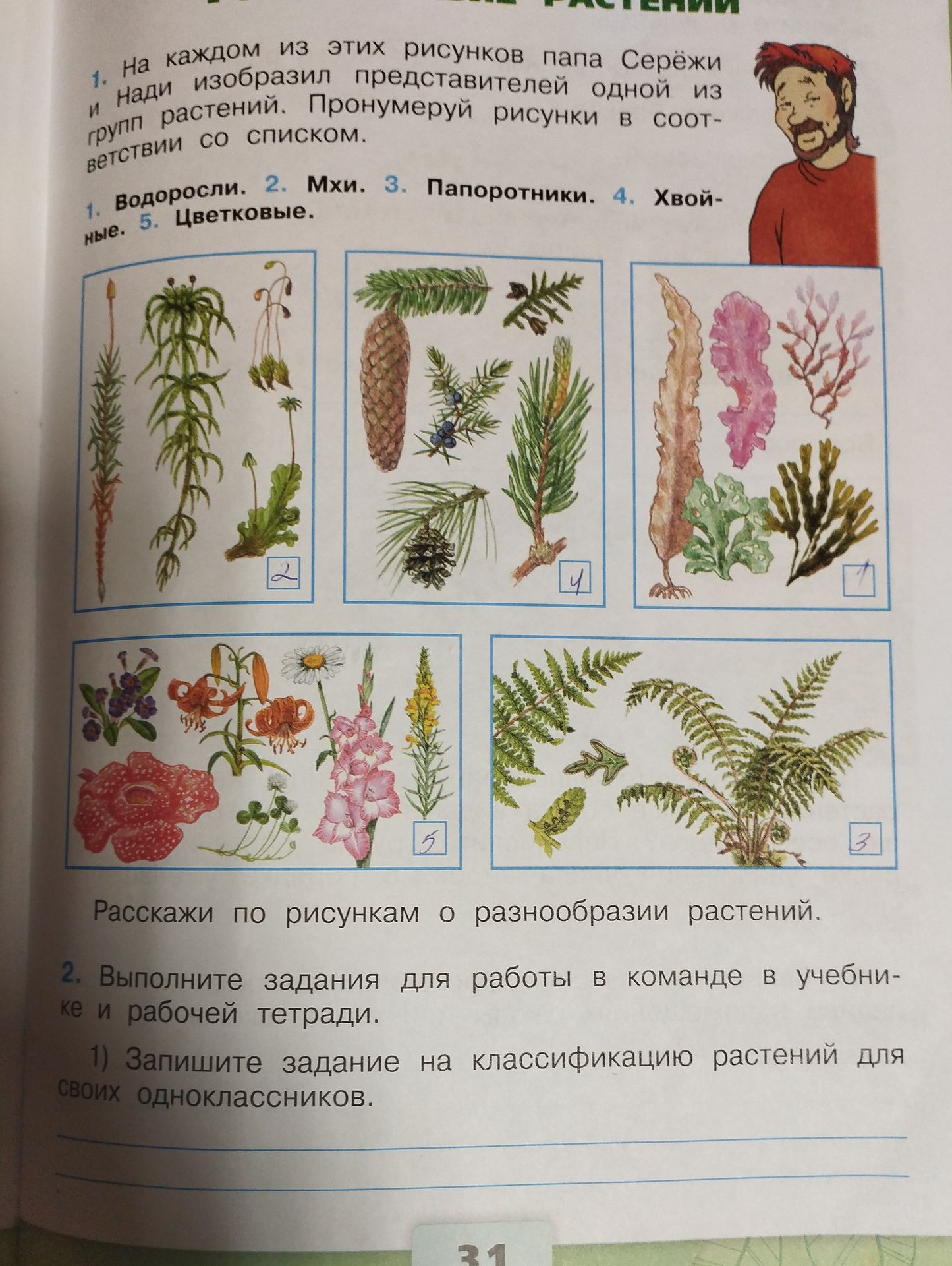 Фото задания: 1. На каждом из этих рисунков папа Серёжи изобразил представителей одной из групп растений. Пронумеруй рисунки в соответствии…