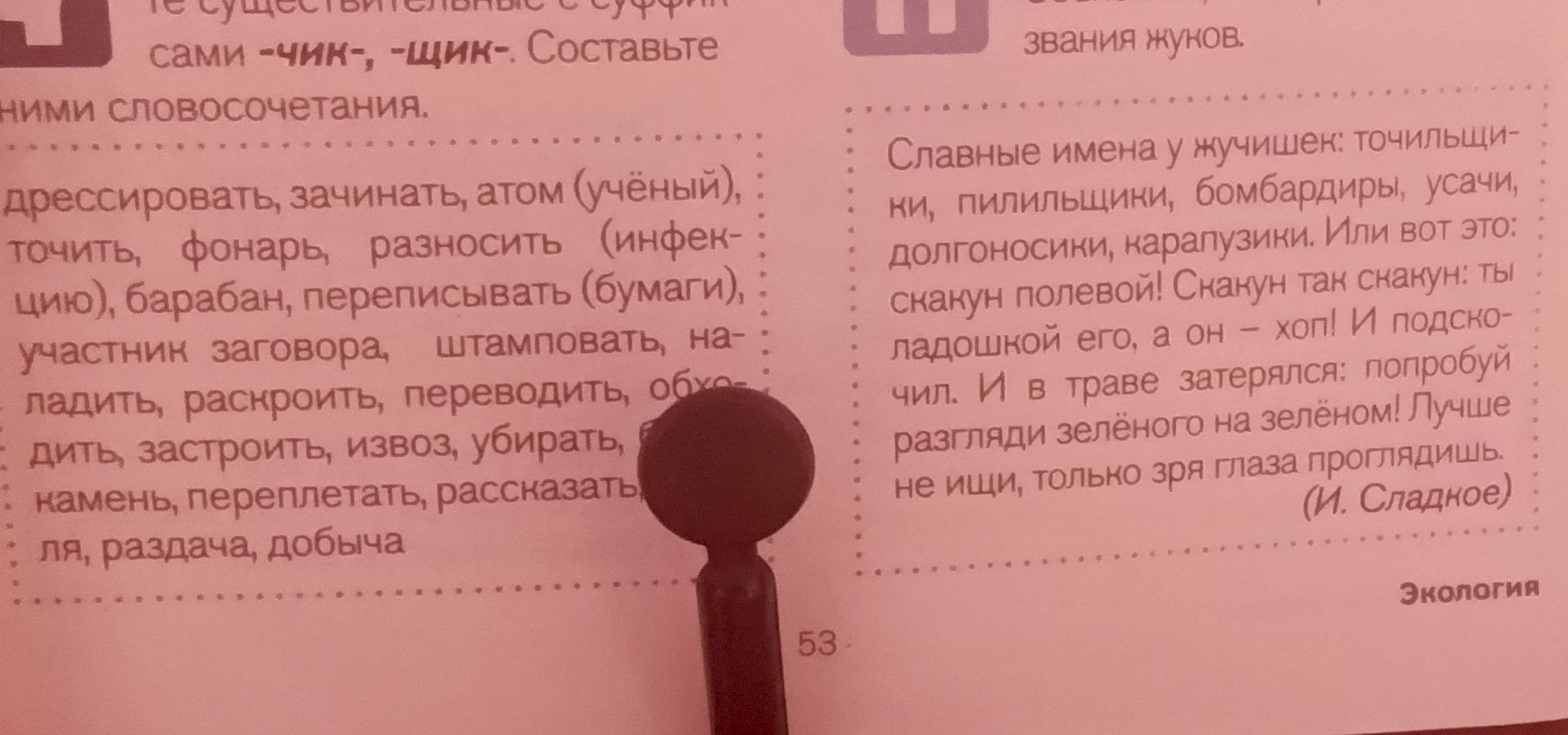 Фото задания: Образуйте существительные с суффиксами -чик-, -щик- от данных слов и составьте с ними словосочетания. Видимый список:…