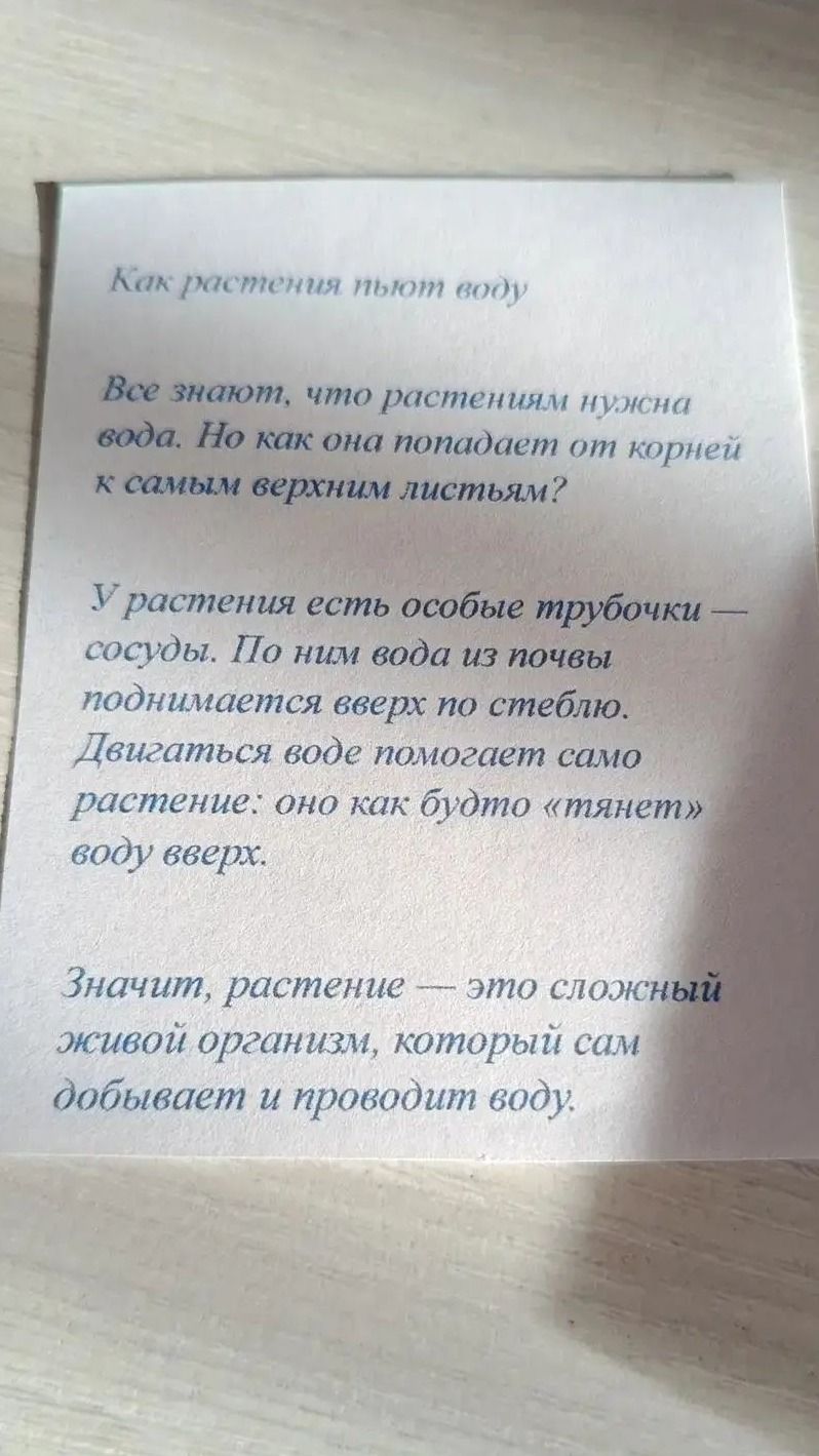 Фото задания: Текст «Как растения пьют воду»