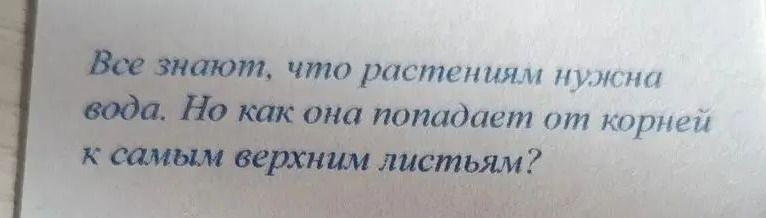 Фото задания: Все знают, что растениям нужна вода. Но как она попадает от корней к самым верхним листьям?