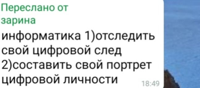 Фото задания: Информатика: 1) отследить свой цифровой след; 2) составить свой портрет цифровой личности.