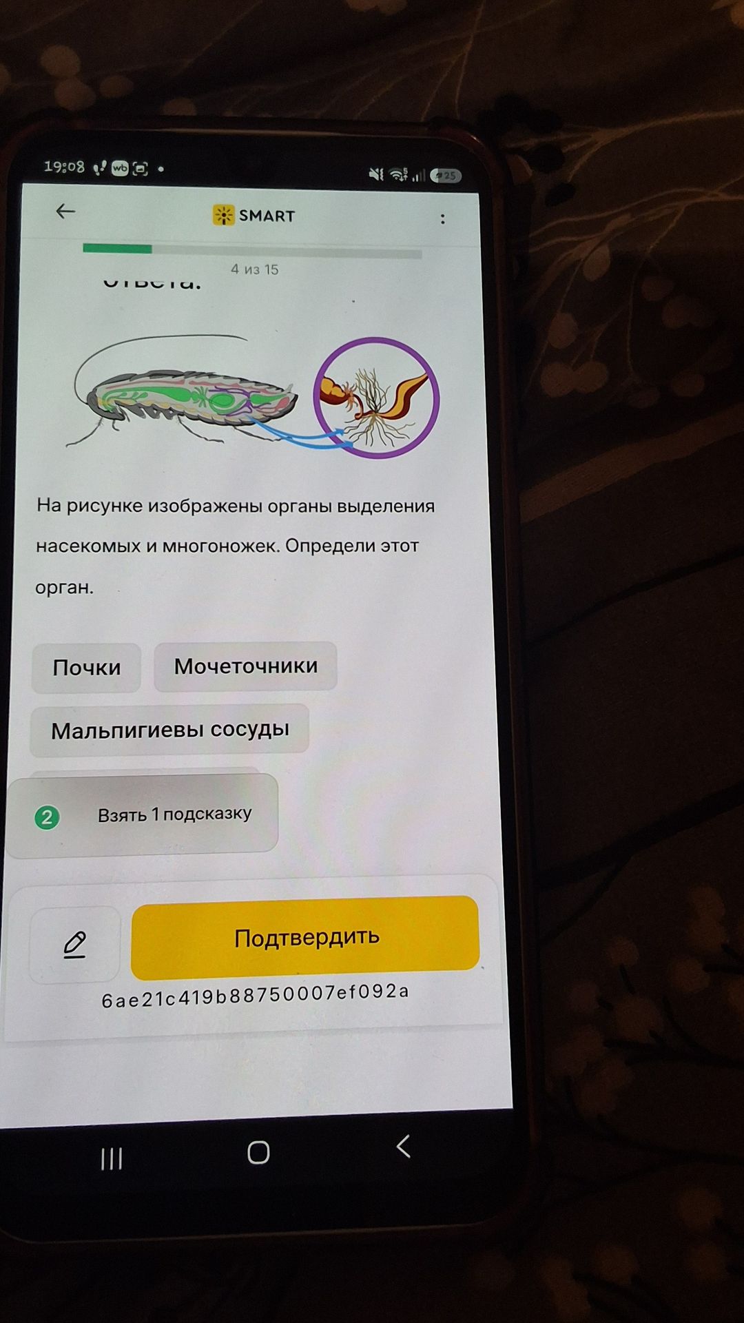 Фото задания: На рисунке изображены органы выделения насекомых и многоножек. Определи этот орган. Варианты: почки, мочеточники, мальпигиевы…