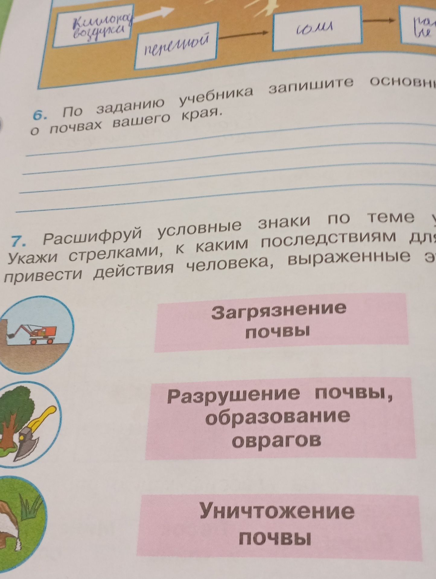 Фото задания: 6. По заданию учебника запишите основные [окончание задания обрезано] о почвах вашего края.