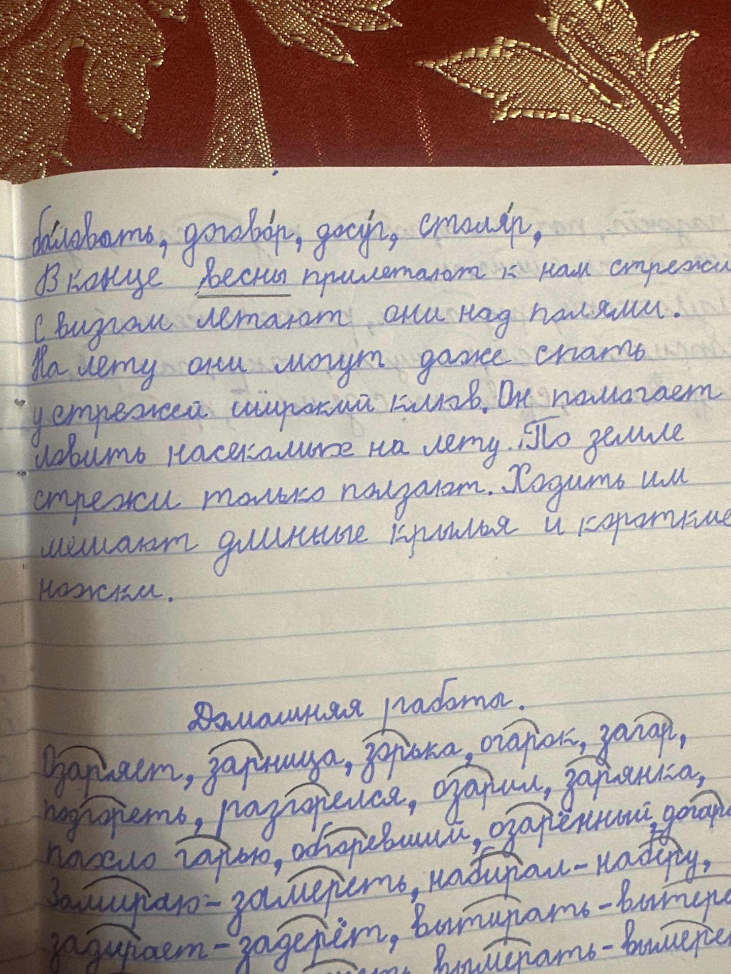 Фото задания: Рукописная работа по русскому языку: сверху — текст о птицах, снизу — упражнение под заголовком «Домашняя работа». Часть…