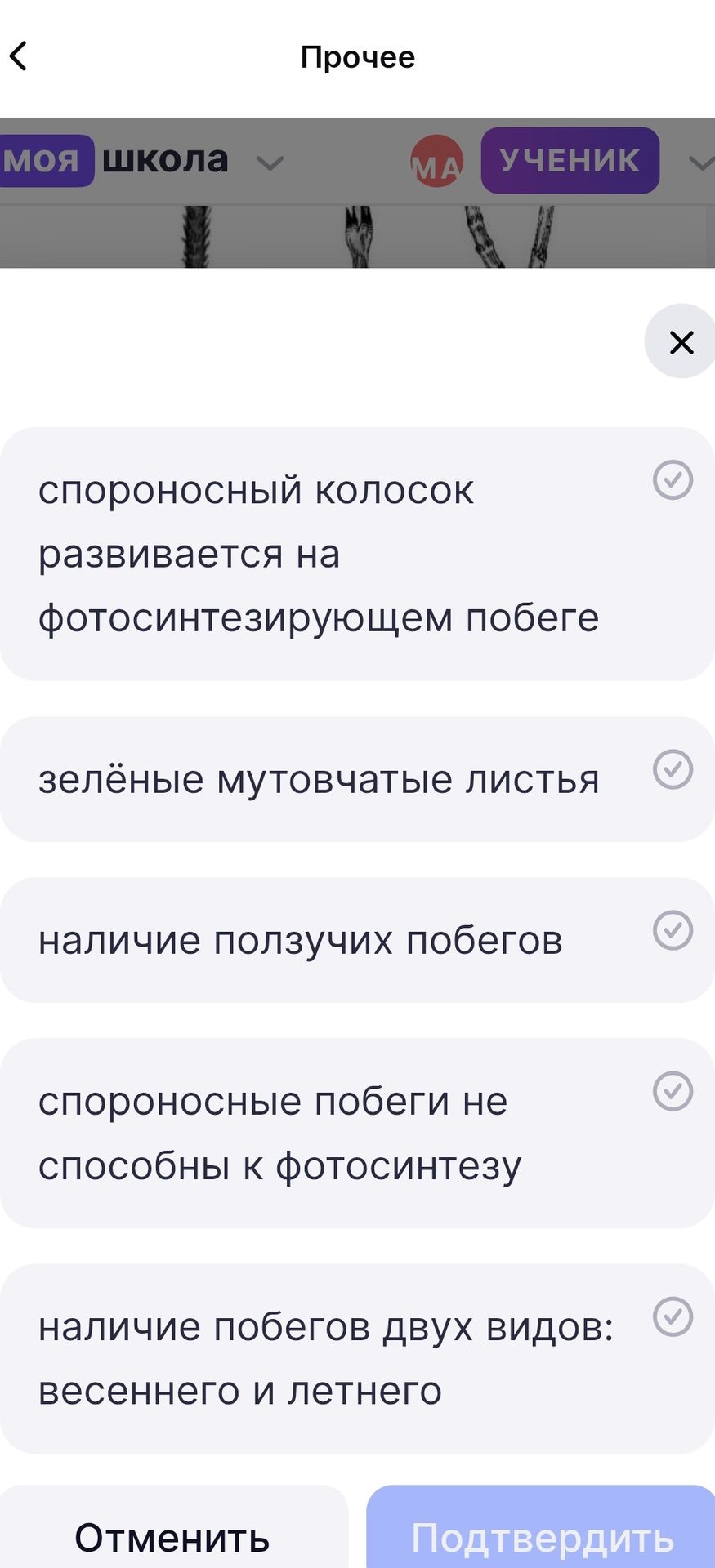 Фото задания: Выберите признаки хвощей: спороносный колосок развивается на фотосинтезирующем побеге; зелёные мутовчатые листья; наличие…