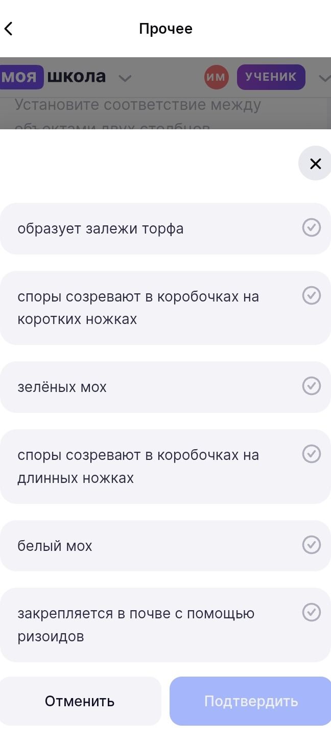Фото задания: Установите соответствие между объектами двух столбцов: образует залежи торфа; споры созревают в коробочках на коротких…