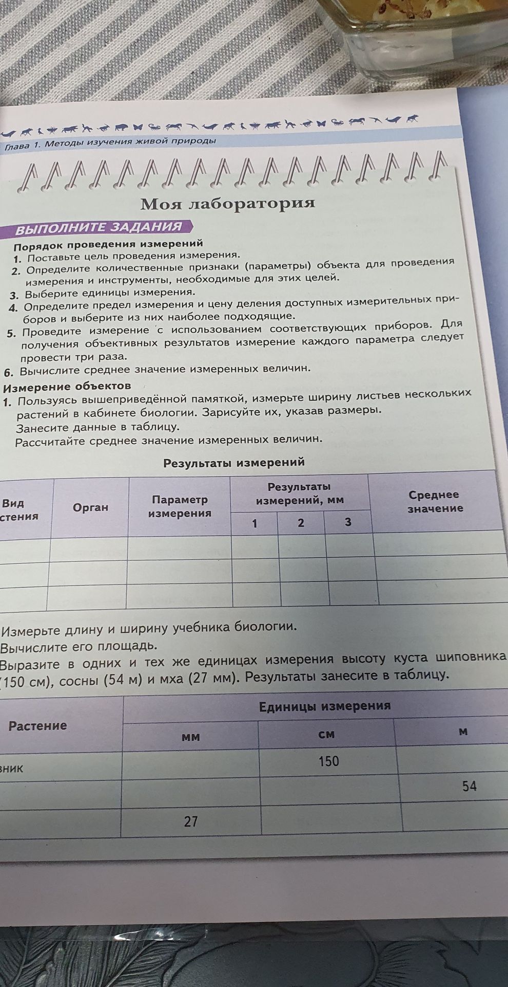 Фото задания: Пользуясь памяткой, измерьте ширину листьев нескольких растений в кабинете биологии. Зарисуйте их, указав размеры. Занесите…