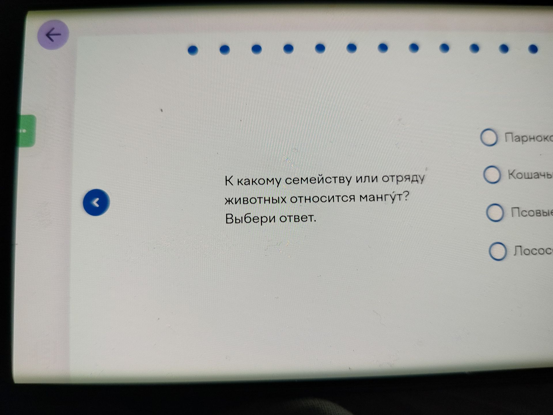 Фото задания: К какому семейству или отряду животных относится мангуст? Выбери ответ. Варианты: парнокопытные, кошачьи, псовые, лососевые.