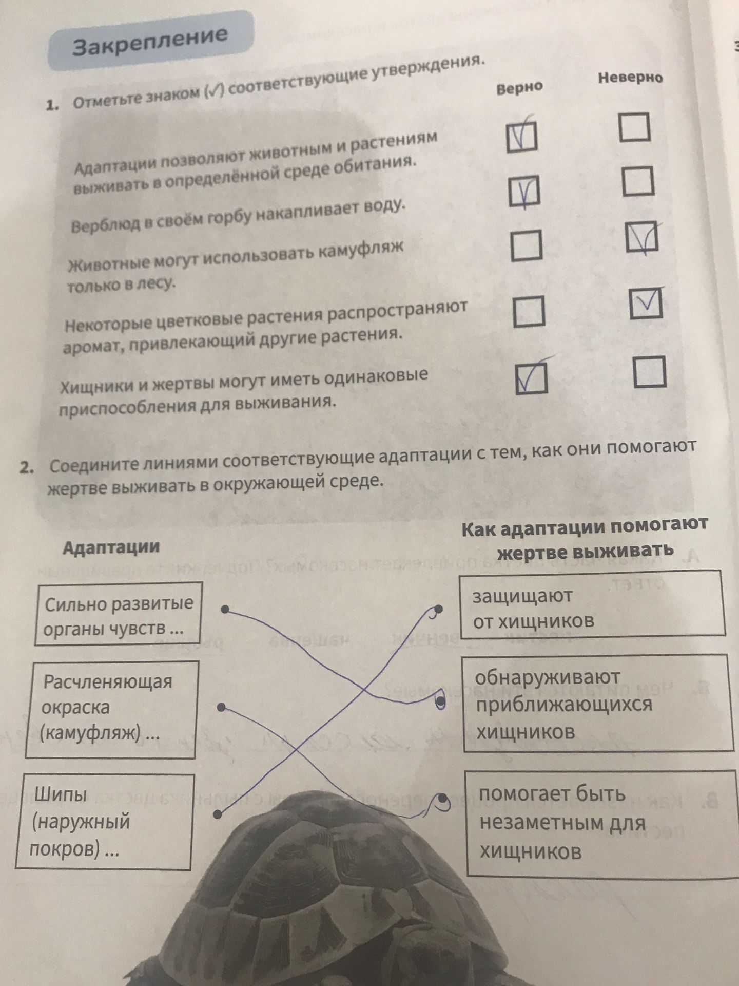 Фото задания: 1. Отметьте знаком (✓) соответствующие утверждения: а) Адаптации позволяют животным и растениям выживать в определённой среде…