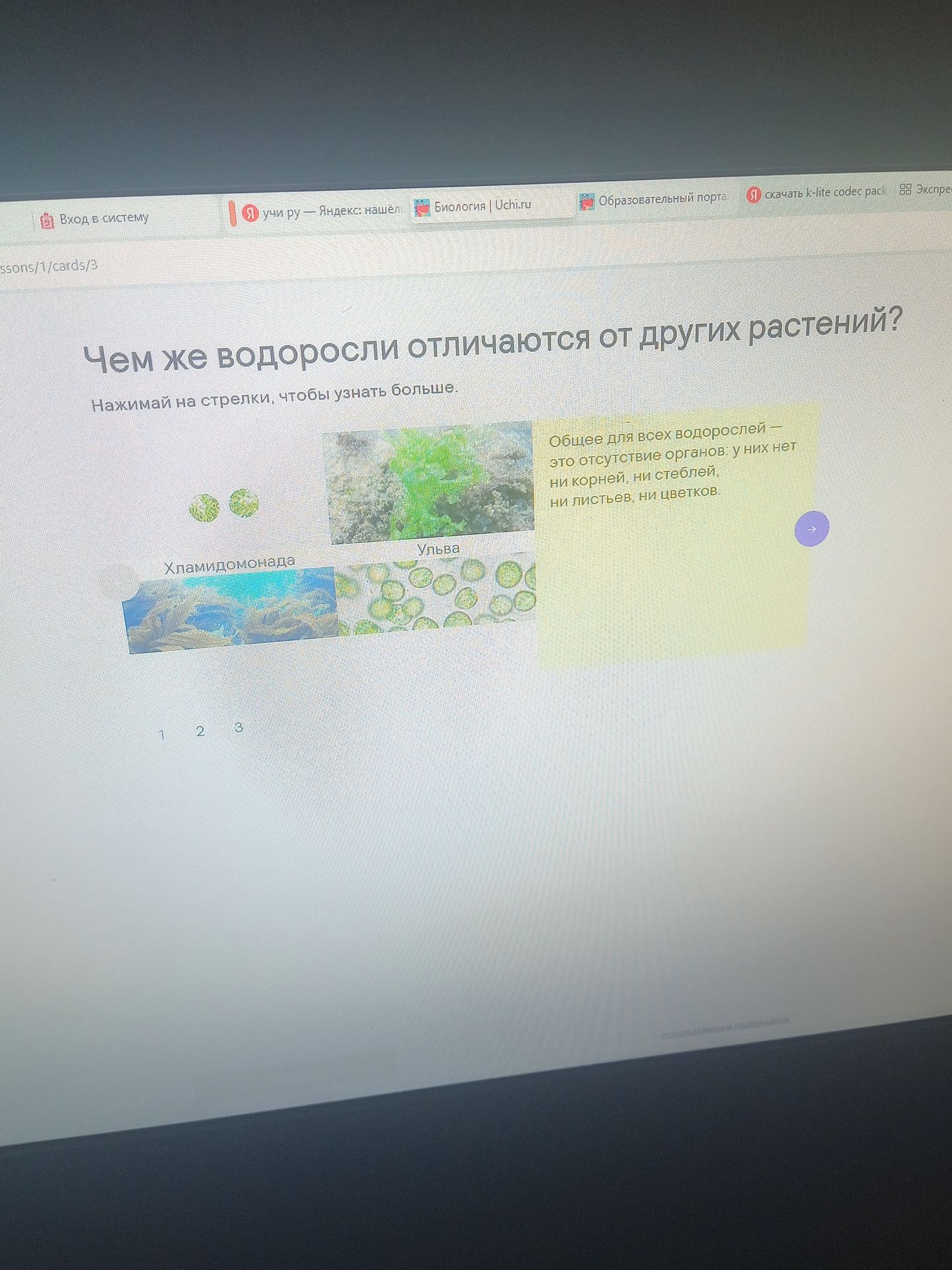 Фото задания: Чем же водоросли отличаются от других растений?