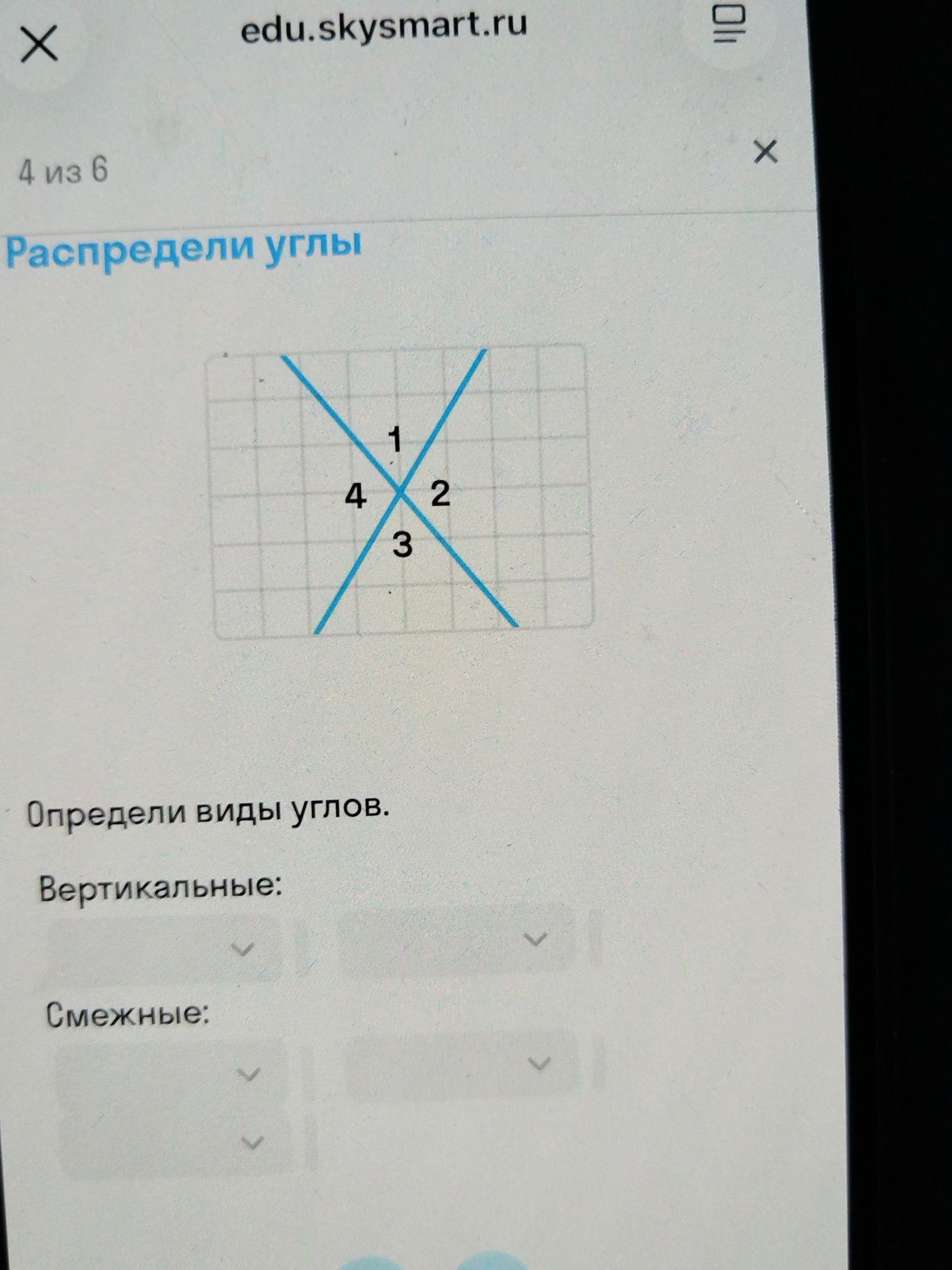 Фото задания: Распредели углы. Определи виды углов на рисунке: вертикальные и смежные.
