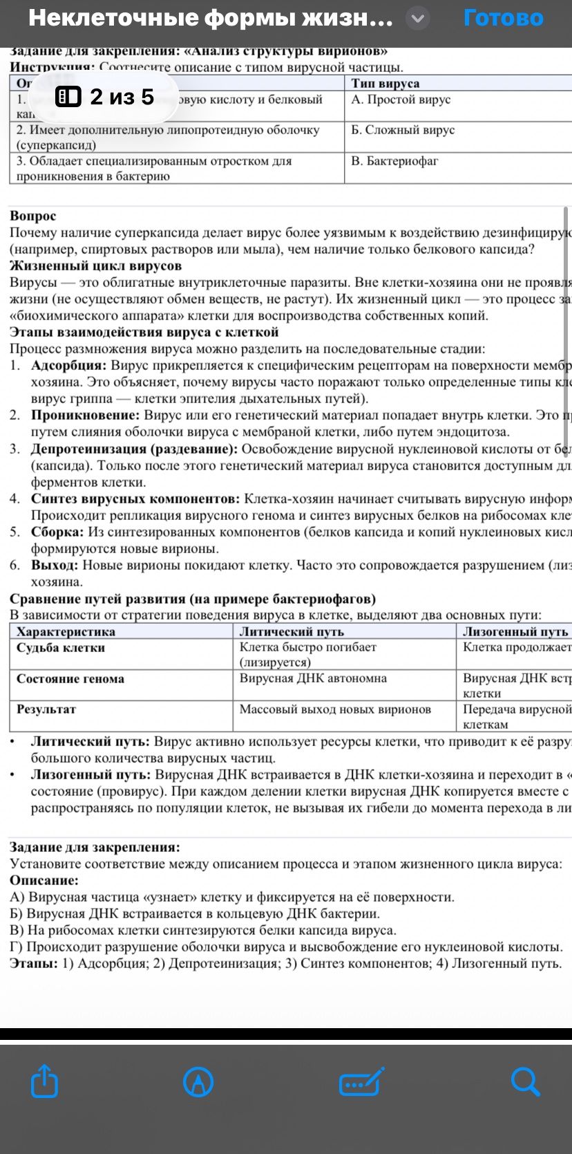 Фото задания: Установите соответствие между описанием процесса и этапом жизненного цикла вируса: А) Вирусная частица «узнаёт» клетку и…