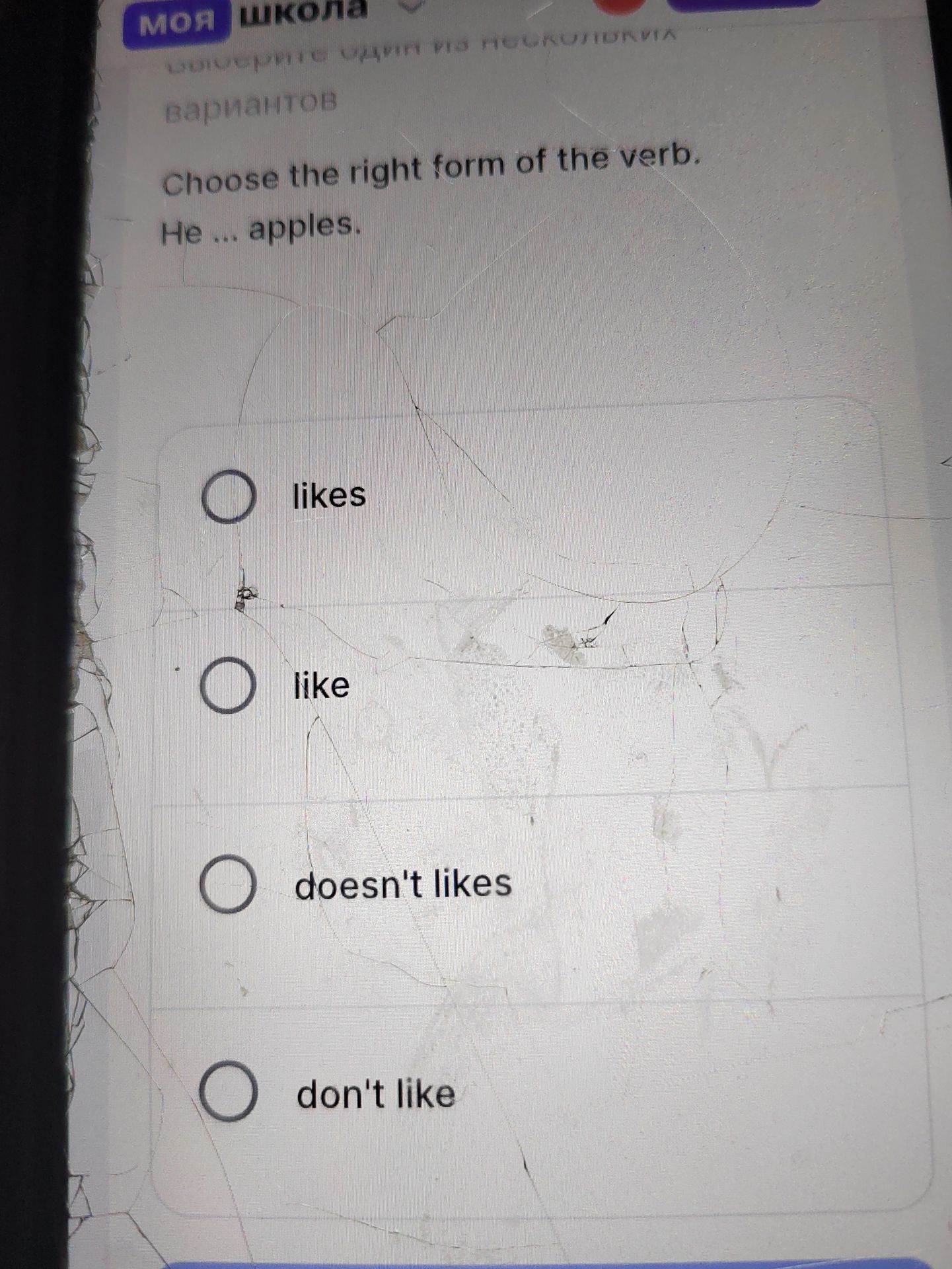 Фото задания: Choose the right form of the verb. He ... apples. (likes / like / doesn't likes / don't like)