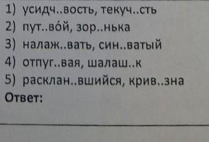 Фото задания: 1) усидч..вость, текуч..сть 2) пут..вой, зор..нка 3) налаж..вать, син..ватый 4) отпуг..вая, шал..ш..к 5) расклан..вшийся,…