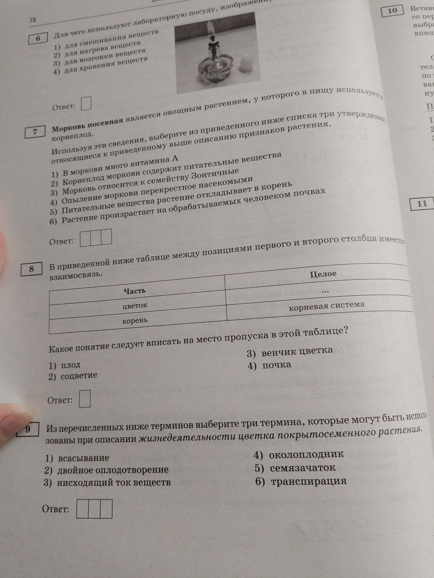 Фото задания: 9. Из перечисленных ниже терминов выберите три термина, которые могут быть использованы при описании жизнедеятельности цветка…