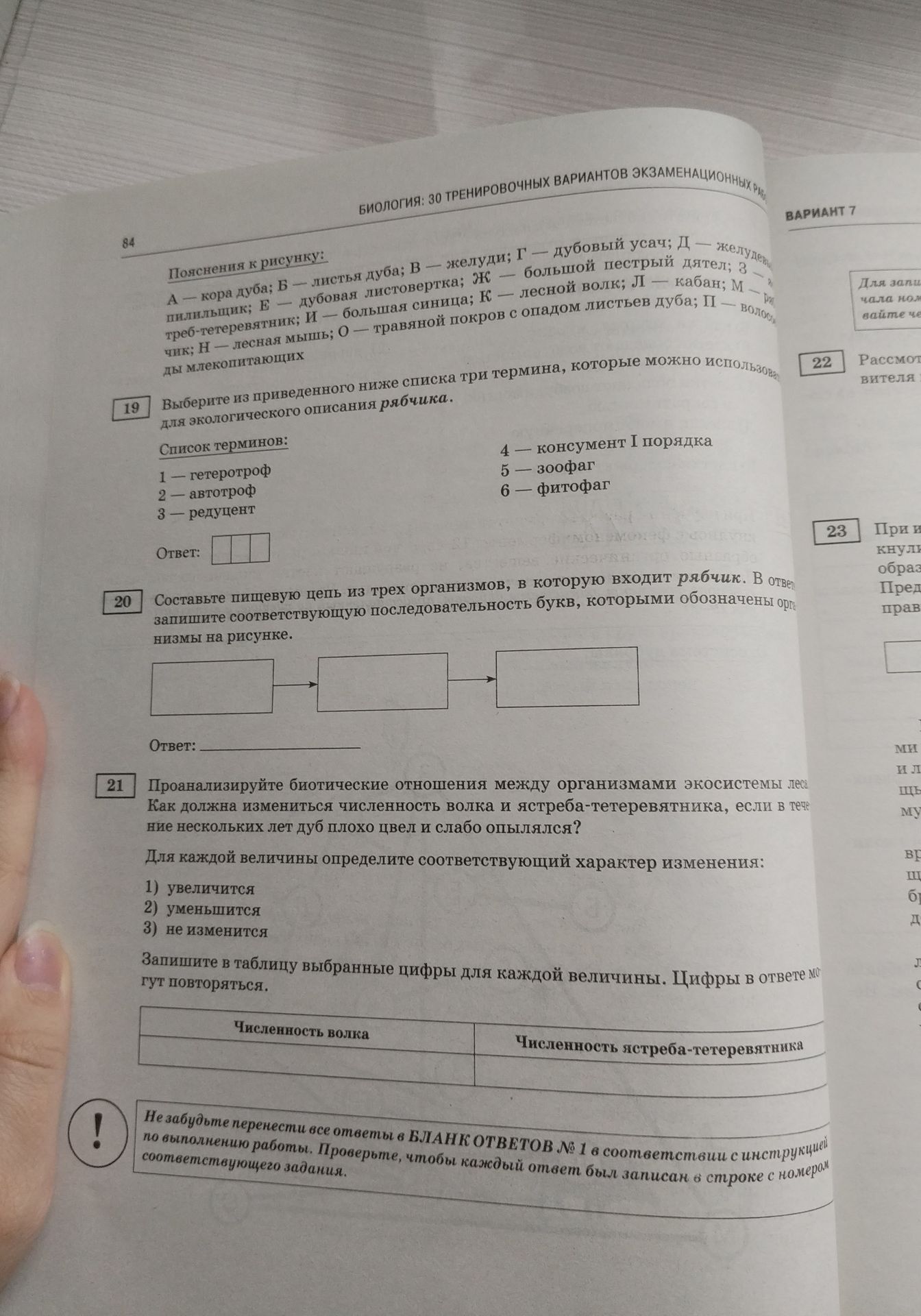 Фото задания: 20. Составьте пищевую цепь из трёх организмов, в которую входит рябчик. В ответе запишите соответствующую…