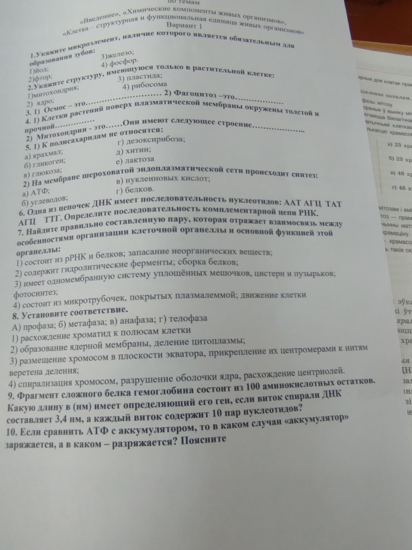 Фото задания: 6. Одна из цепочек ДНК имеет последовательность нуклеотидов: ААТ АГЦ ТАТ АГЦ ТТТ. Определите последовательность нуклеотидов…