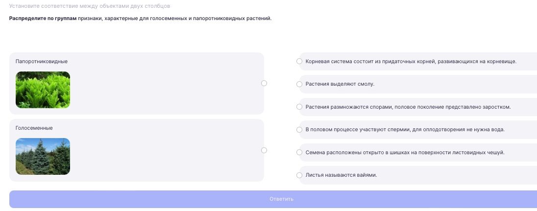 Фото задания: Распределите по группам признаки, характерные для голосеменных и папоротниковидных растений: 1) Корневая система состоит из…