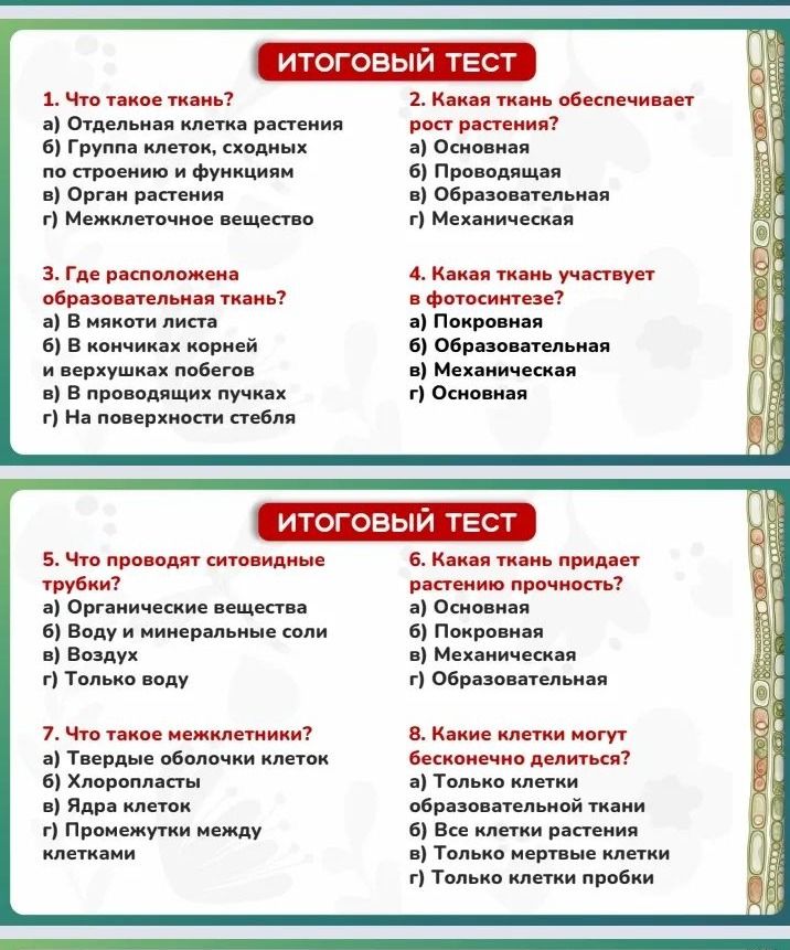 Фото задания: 8. Какие клетки могут бесконечно делиться? а) Только клетки образовательной ткани; б) Все клетки растения; в) Только…