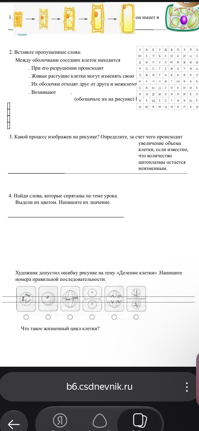 Фото задания: 1. [Начало и часть условия обрезаны] На рисунке показана последовательность изменений растительной клетки; далее виден…