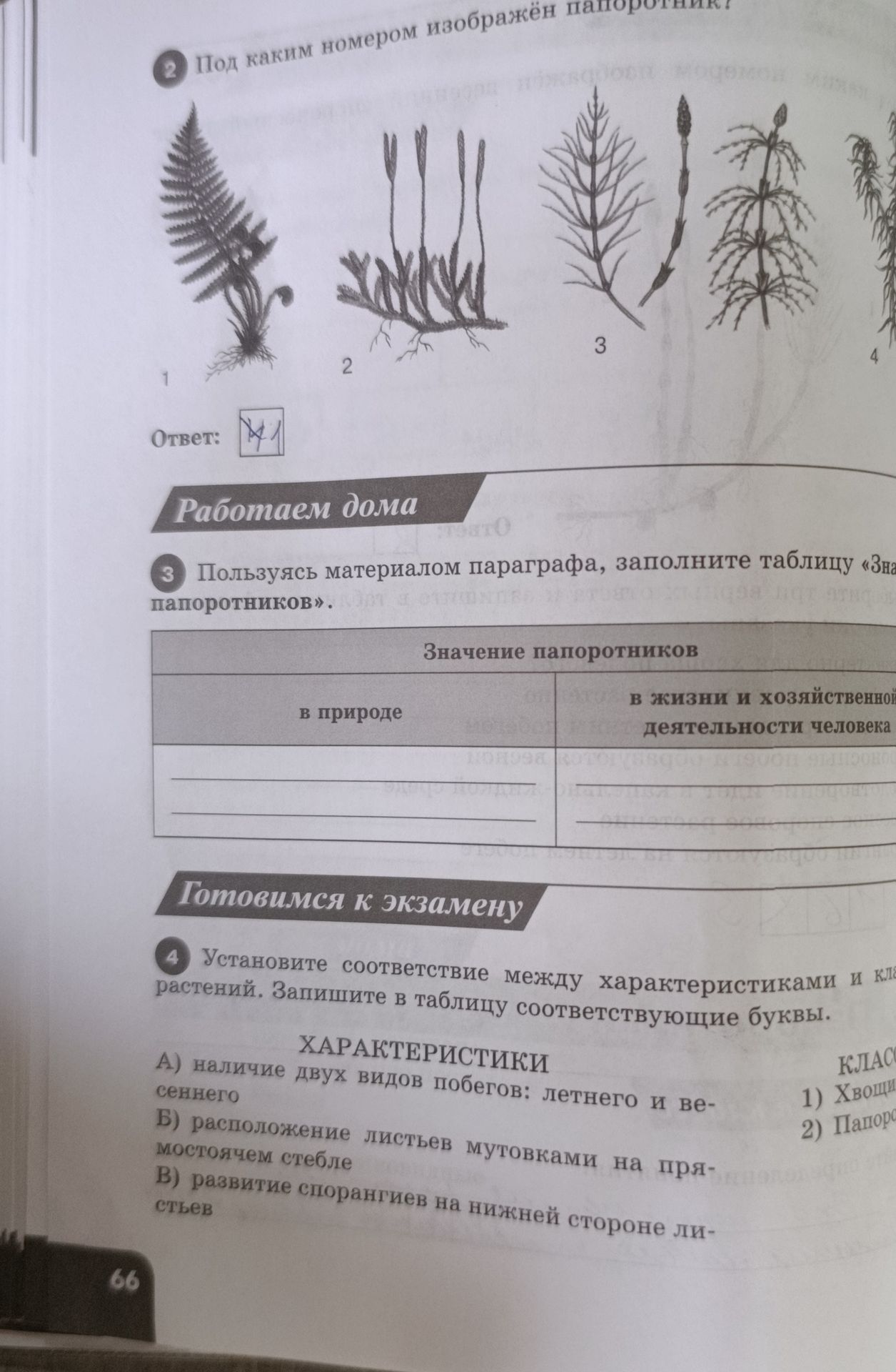 Фото задания: 4. Установите соответствие между характеристиками и классами растений. Запишите в таблицу соответствующие буквы.…
