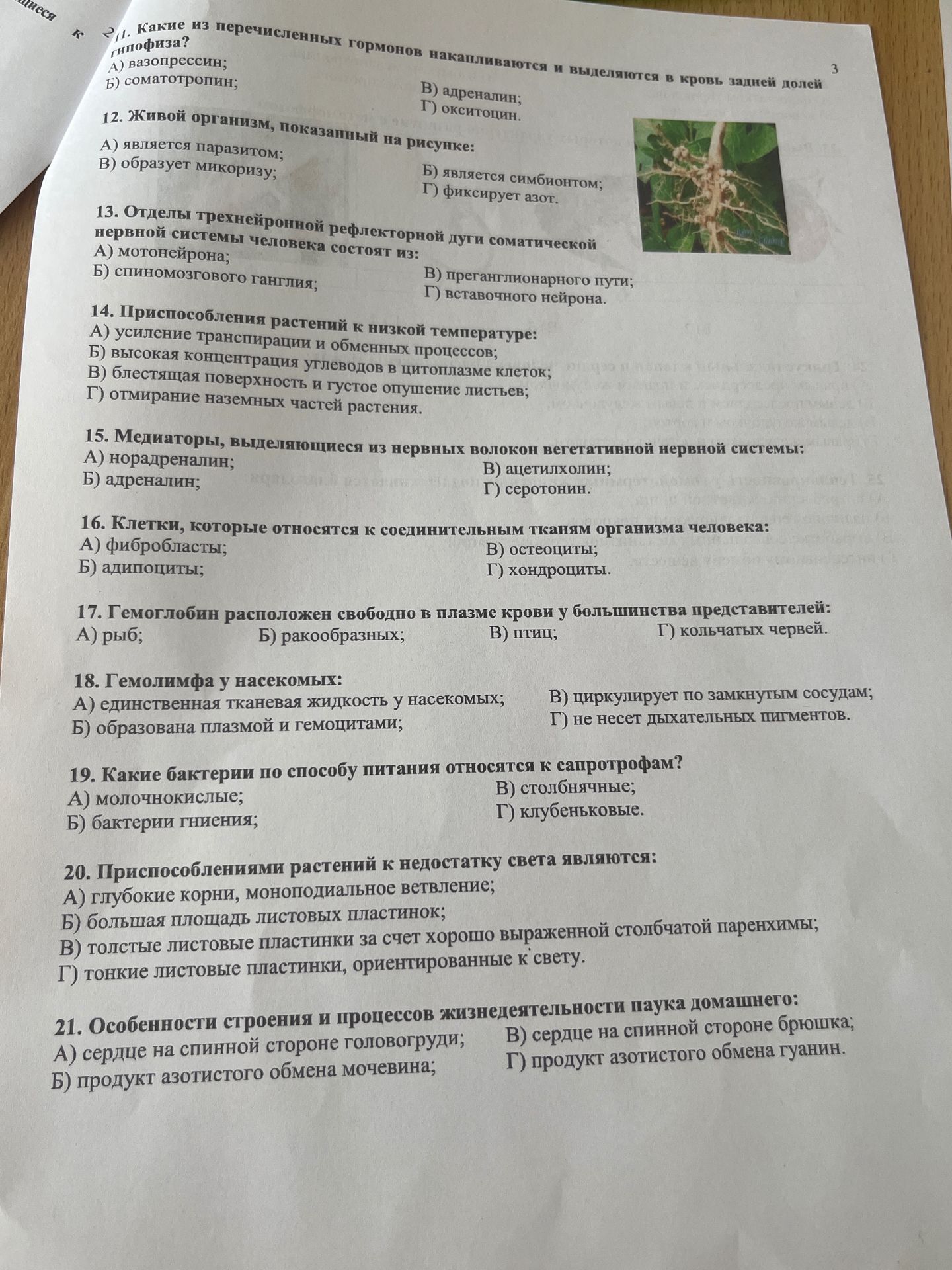 Фото задания: 15. Медиаторы, выделяющиеся из нервных волокон вегетативной нервной системы: А) норадреналин; Б) адреналин; В) ацетилхолин;…