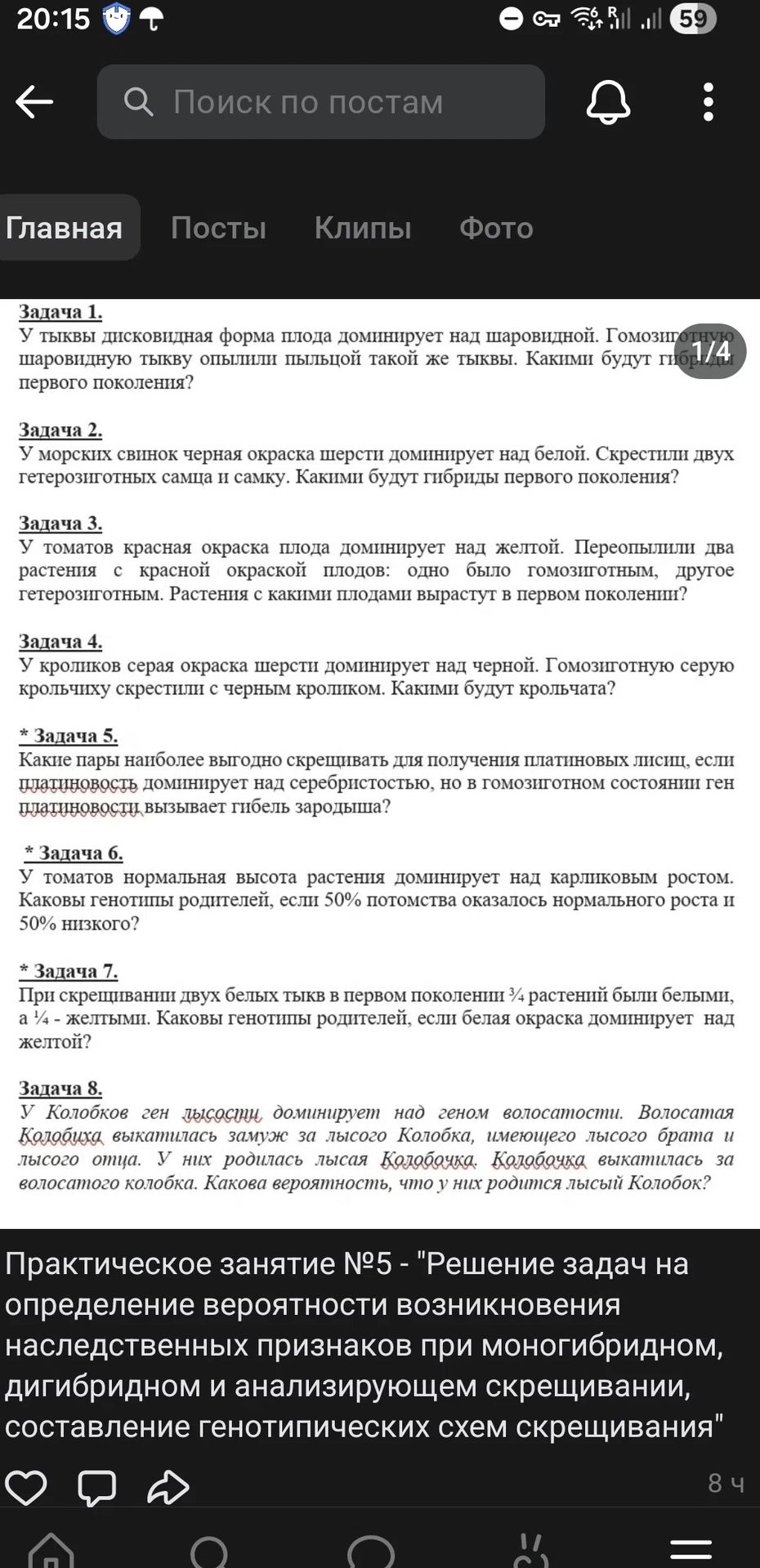 Фото задания: * Задача 7. При скрещивании двух белых тыкв в первом поколении ¾ растений были белыми, а ¼ — жёлтыми. Каковы генотипы…