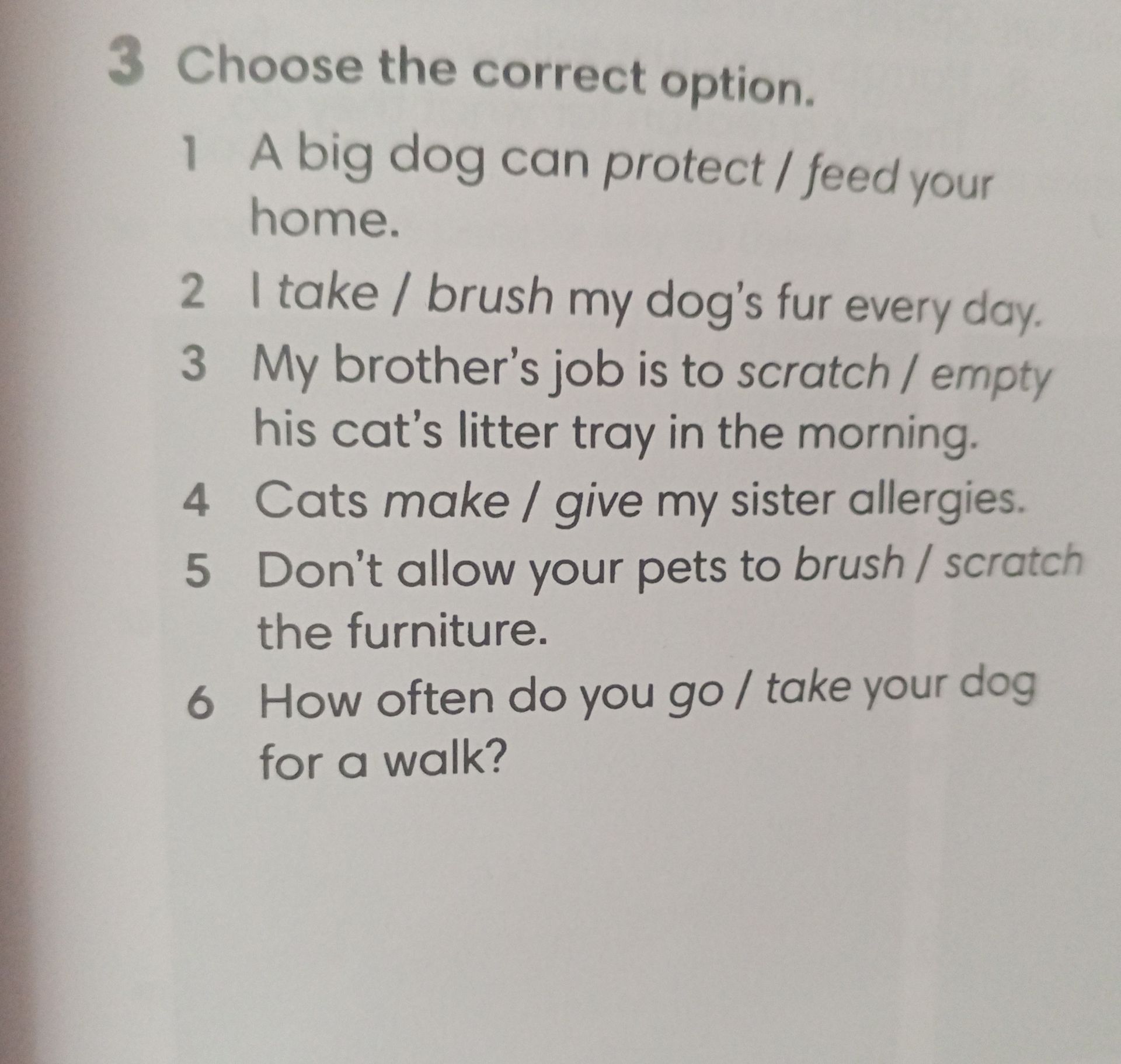 Фото задания: 3. Choose the correct option. 1) A big dog can protect / feed your home. 2) I take / brush my dog’s fur every day. 3) My…