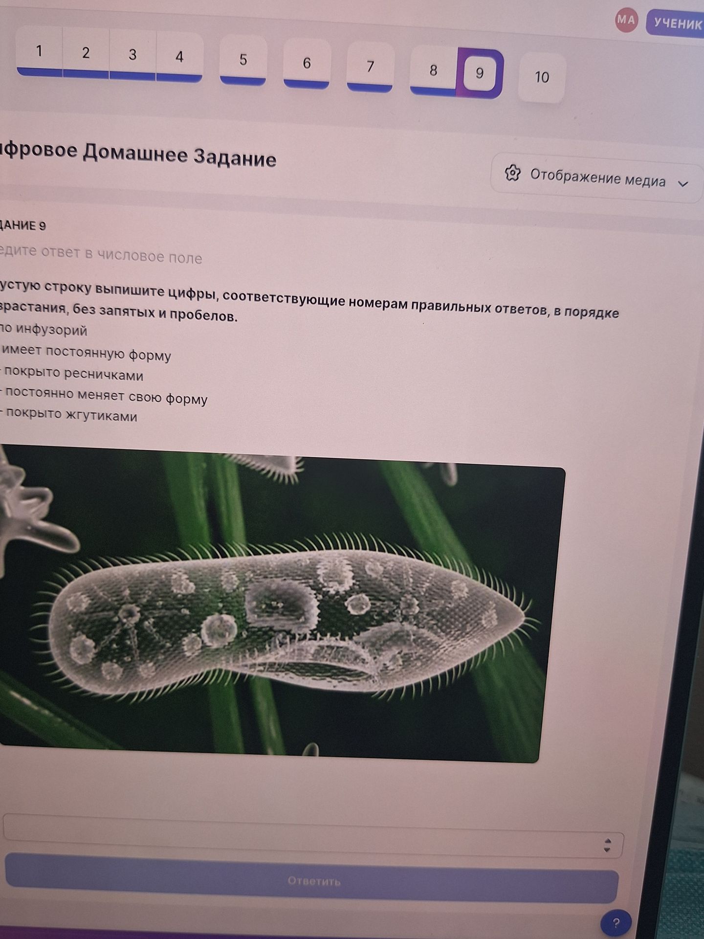 Фото задания: Задание 9. Выпишите цифры, соответствующие номерам правильных ответов, в порядке возрастания, без запятых и пробелов.…