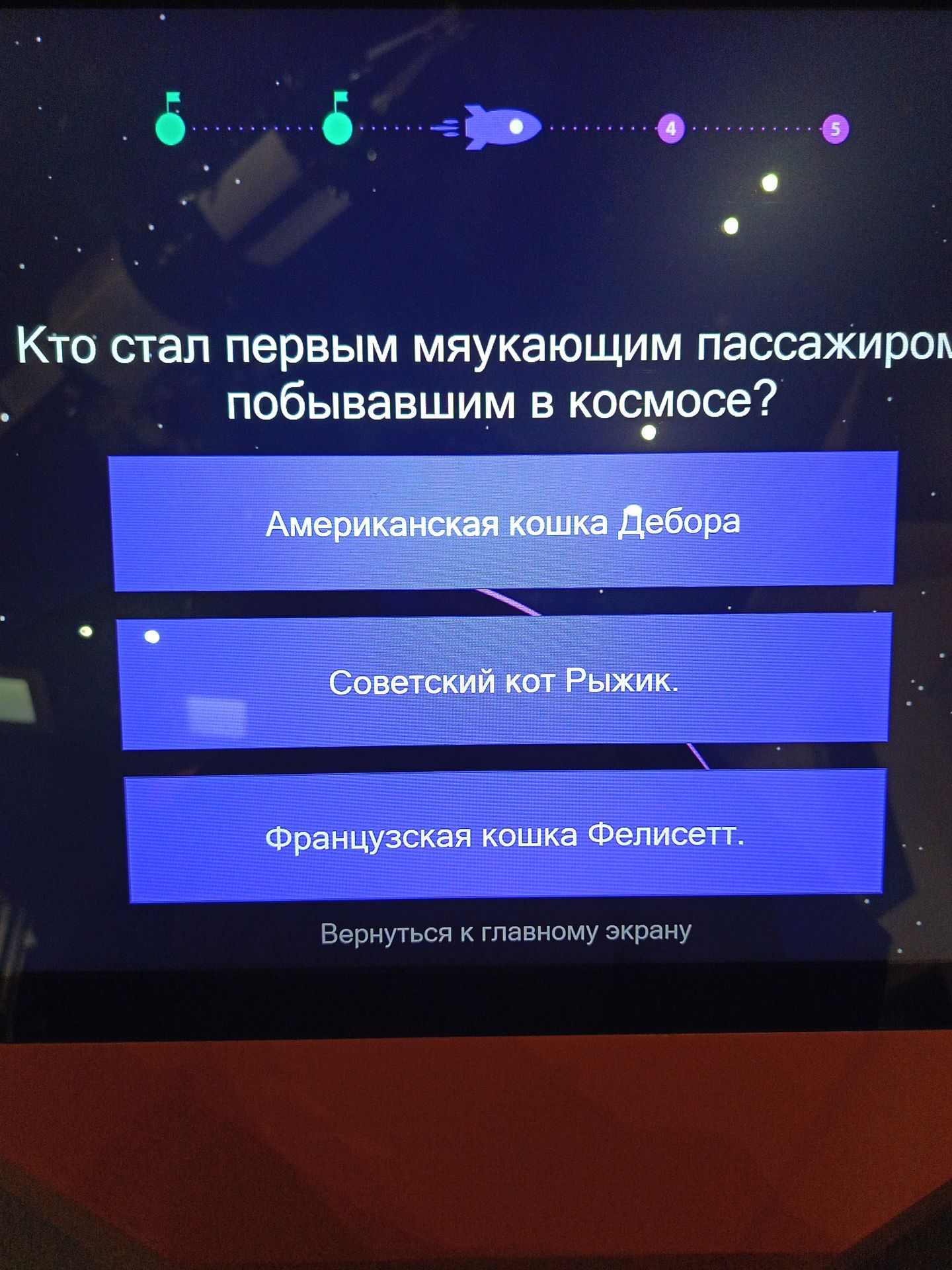 Фото задания: Кто стал первым мяукающим пассажиром, побывавшим в космосе? Варианты: американская кошка Дебора; советский кот Рыжик;…