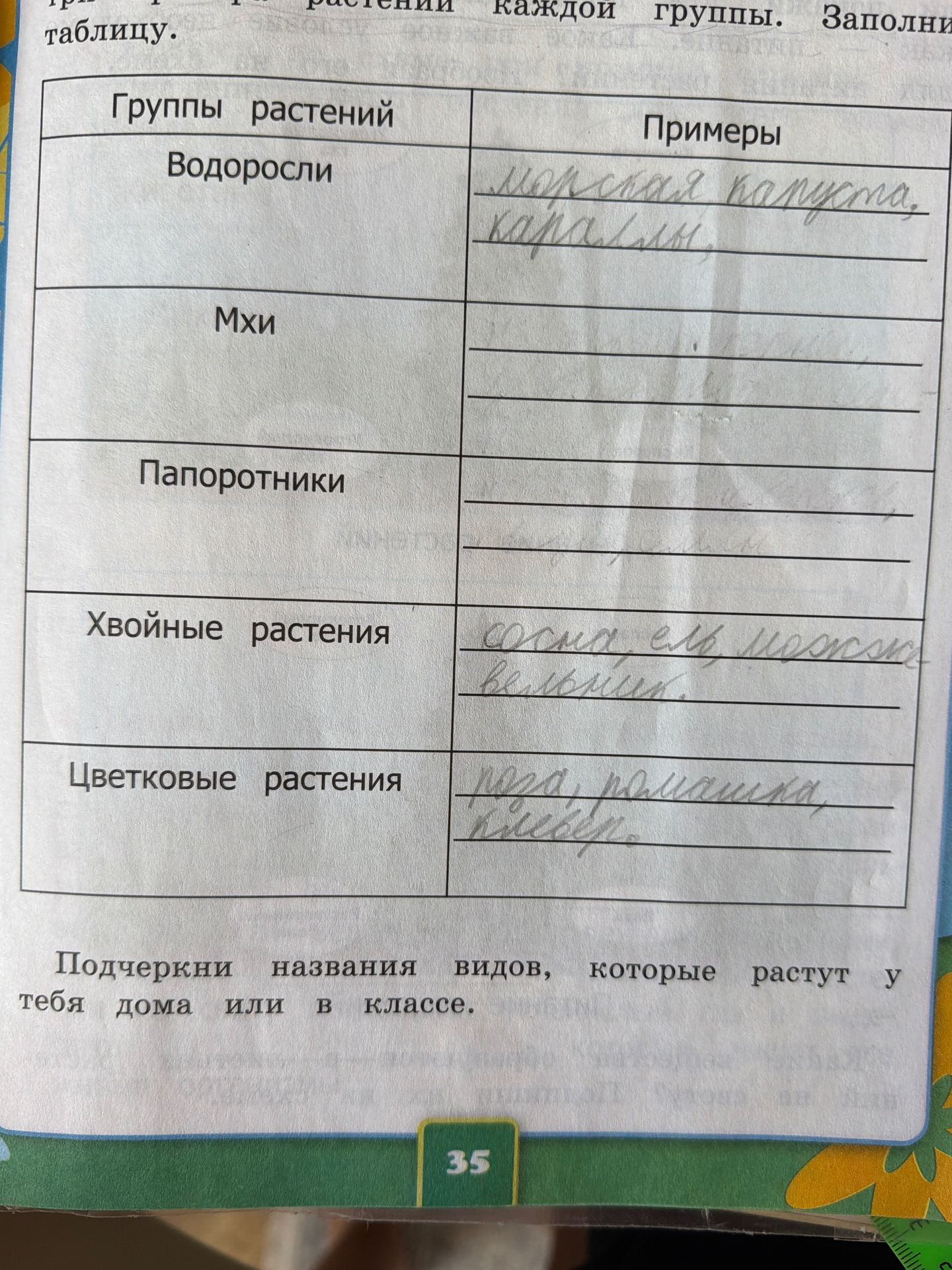 Фото задания: Приведи примеры растений каждой группы. Заполни таблицу. Подчеркни названия видов, которые растут у тебя дома или в классе.