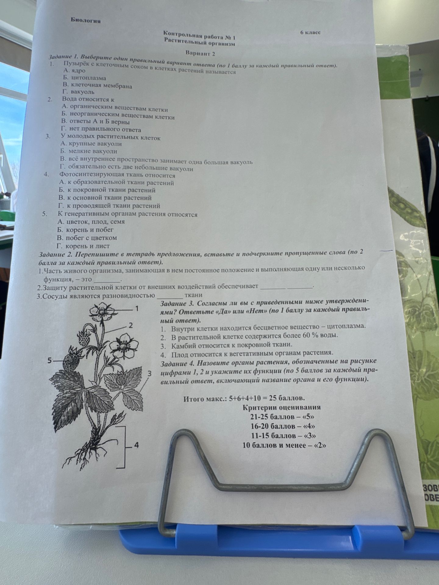 Фото задания: Задание 2. Перепишите предложения, вставьте пропущенные слова. 1. Часть живого организма, занимающая в нём постоянное…