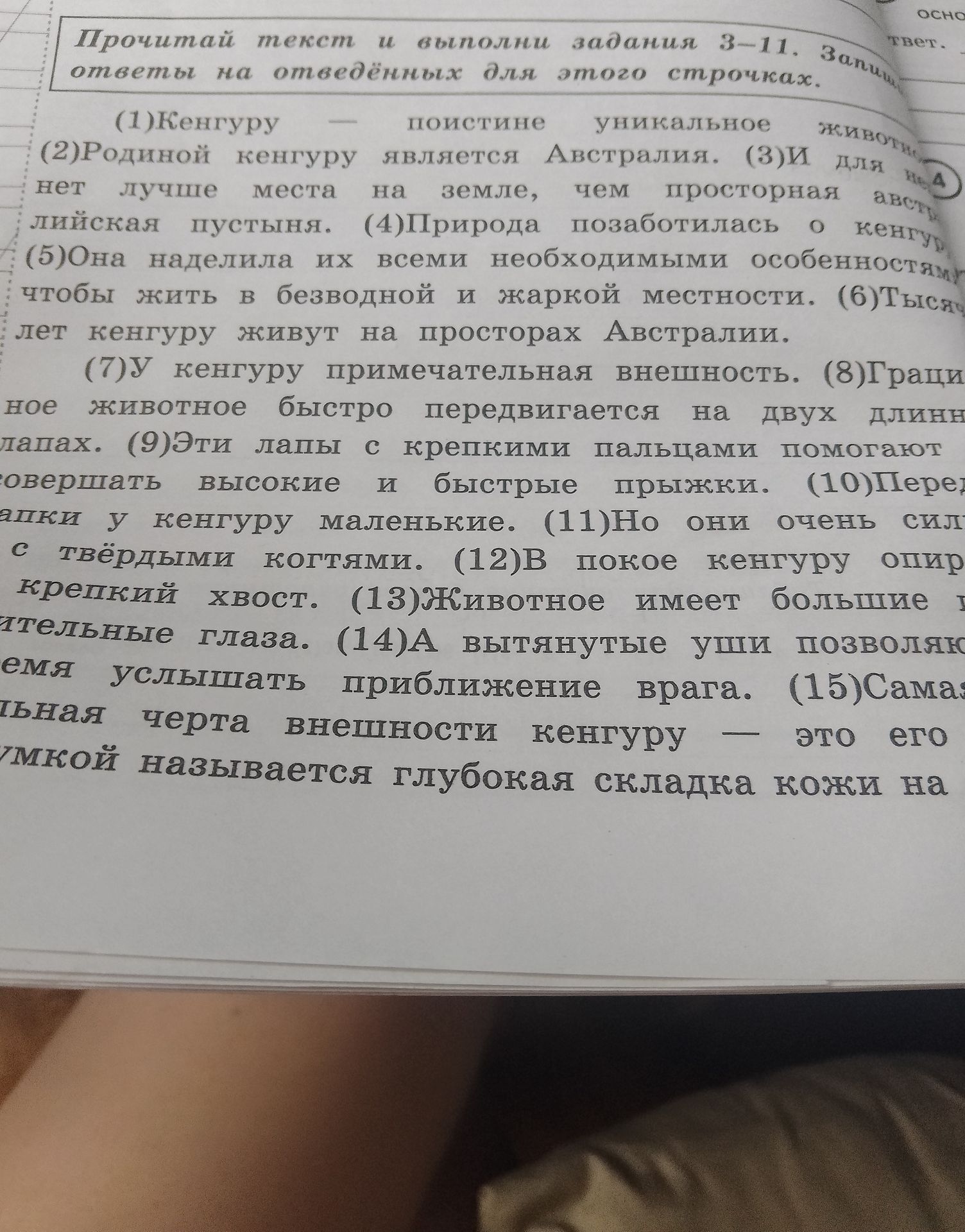 Фото задания: На изображении виден текст о кенгуру и заголовок «Прочитай текст и выполни задания 3—11». Сами задания 3—11 на фотографии…