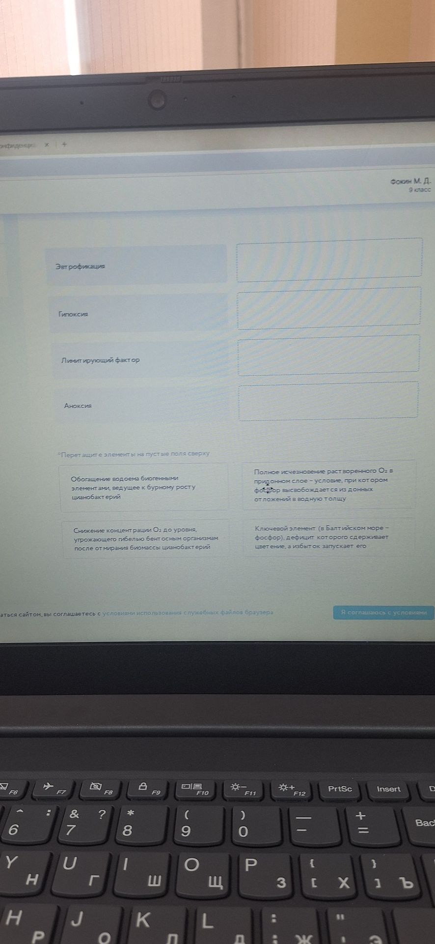 Фото задания: Перетащите элементы на пустые поля сверху: Эвтрофикация; Гипоксия; Лимитирующий фактор; Аноксия. Элементы: «Обогащение…