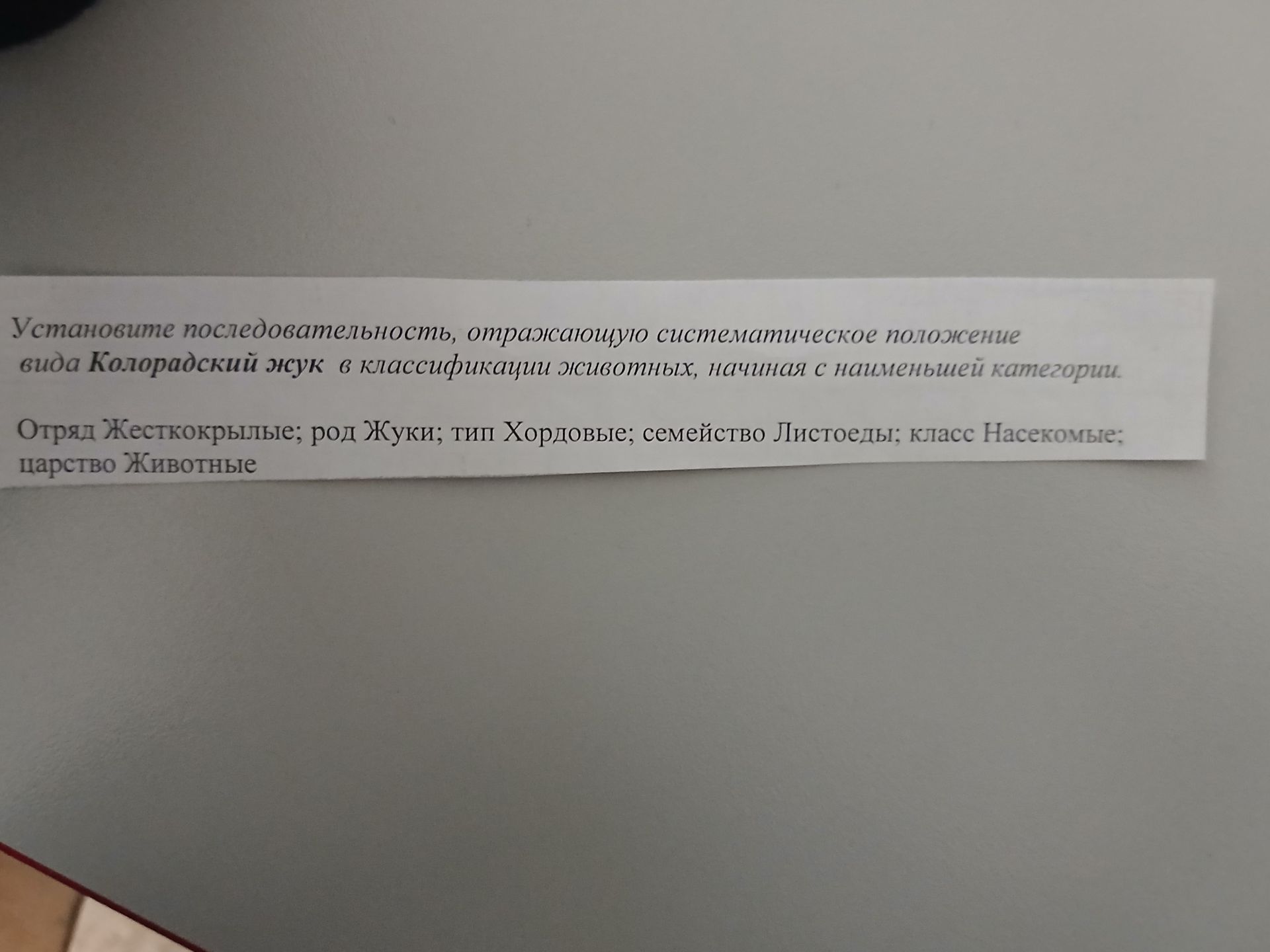 Фото задания: Установите последовательность, отражающую систематическое положение вида Колорадский жук в классификации животных, начиная…