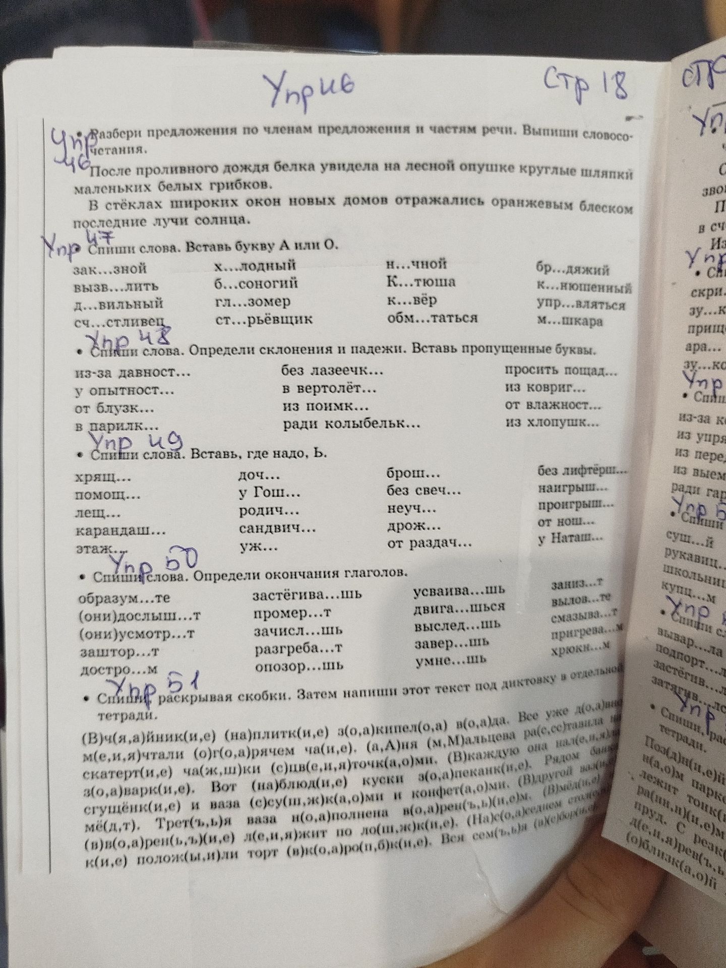Фото задания: Упр. 46. Разбери предложения по членам предложения и частям речи. Выпиши словосочетания: После проливного дождя белка увидела…