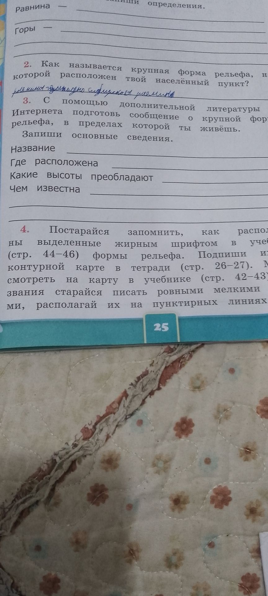 Фото задания: Запиши определения: равнина; горы.