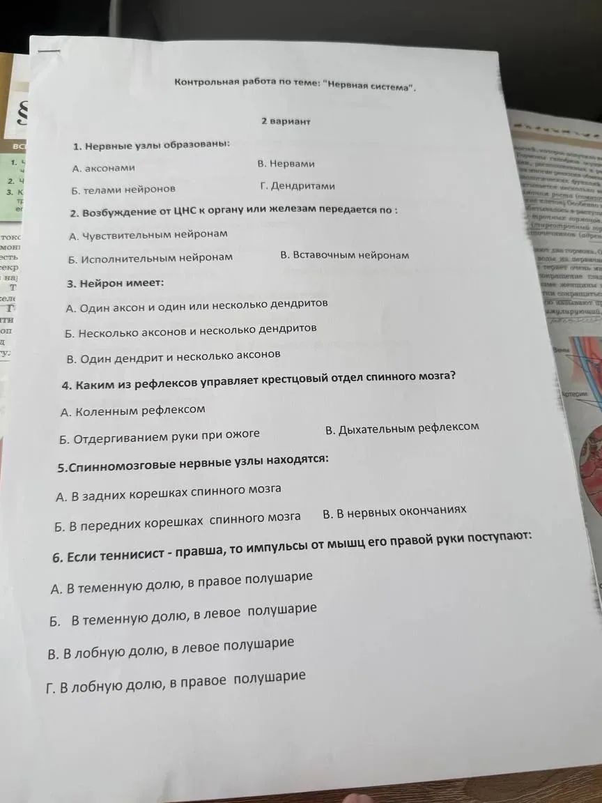 Фото задания: 2. Возбуждение от ЦНС к органу или железам передается по: А. чувствительным нейронам; Б. исполнительным нейронам; В.…