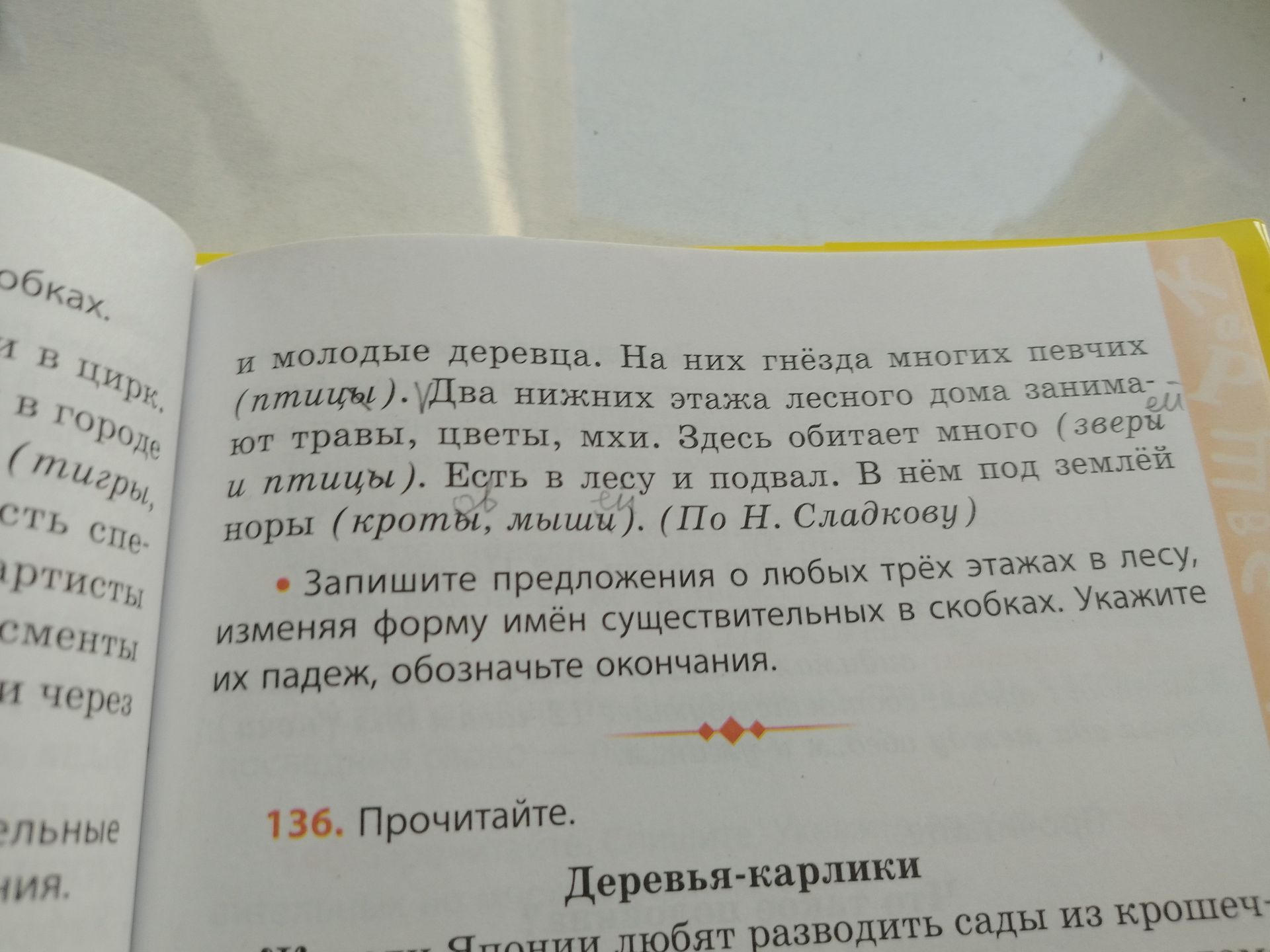Фото задания: Запишите предложения о любых трёх этажах в лесу, изменяя форму имён существительных в скобках. Укажите их падеж, обозначьте…